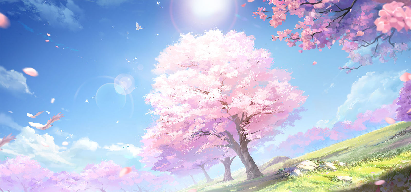 樱花树-风景背景