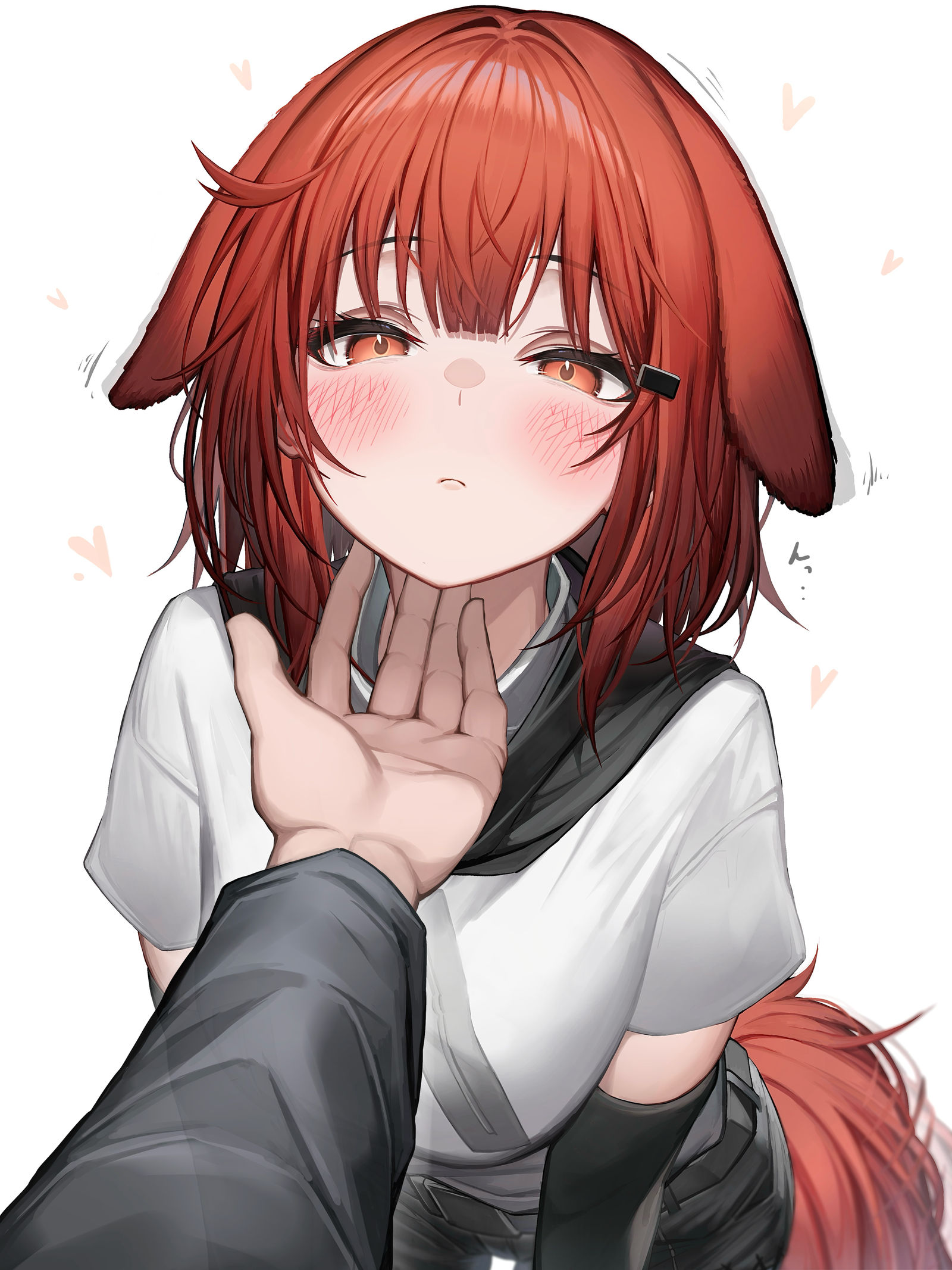 皇冠蕾丝插画图片壁纸