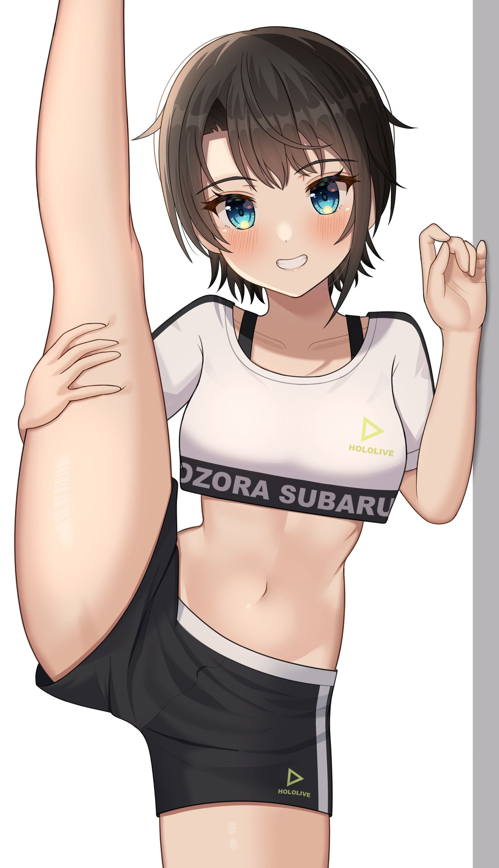 I字平衡斯巴鲁插画图片壁纸