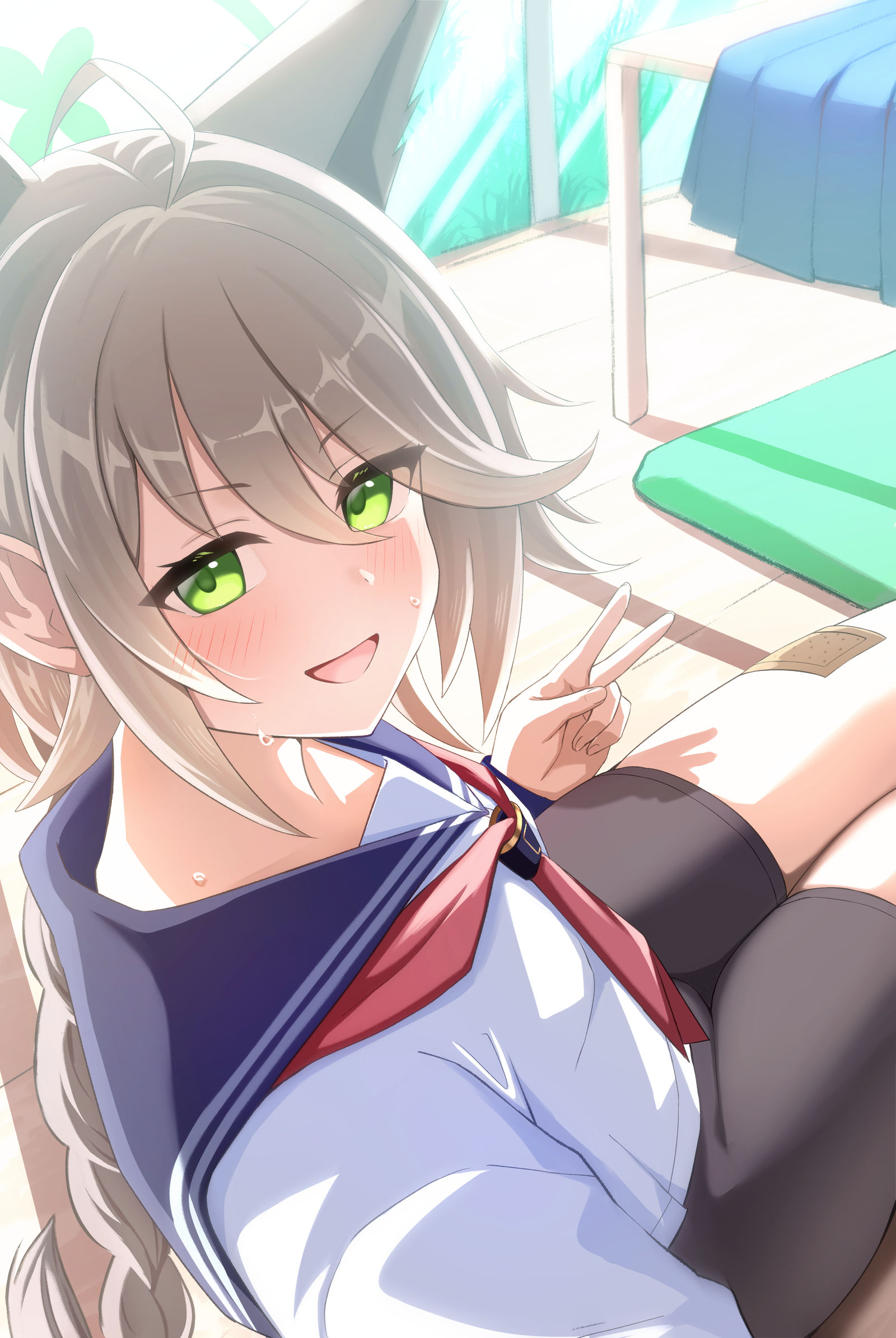 白鹭