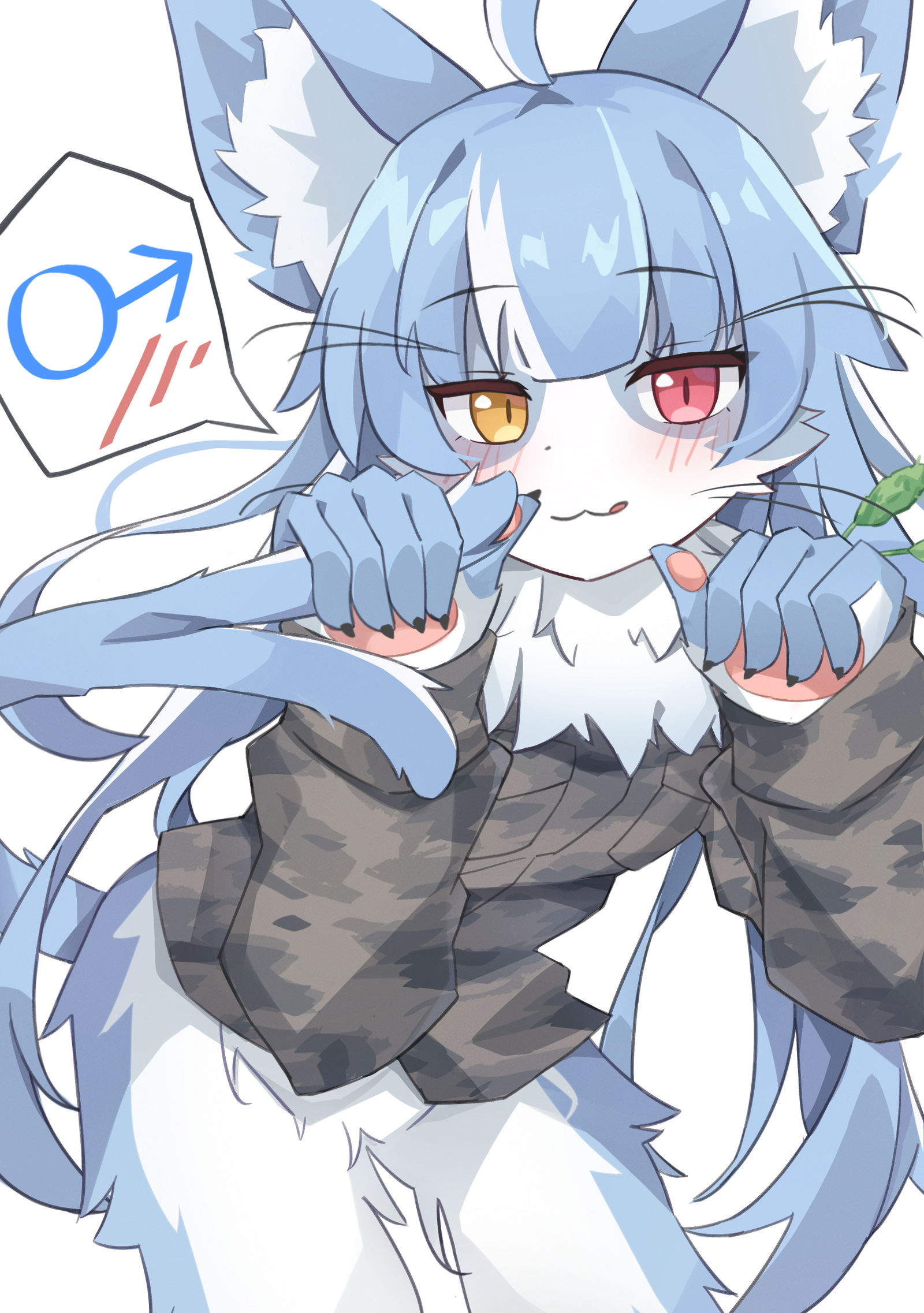 小猫插画图片壁纸