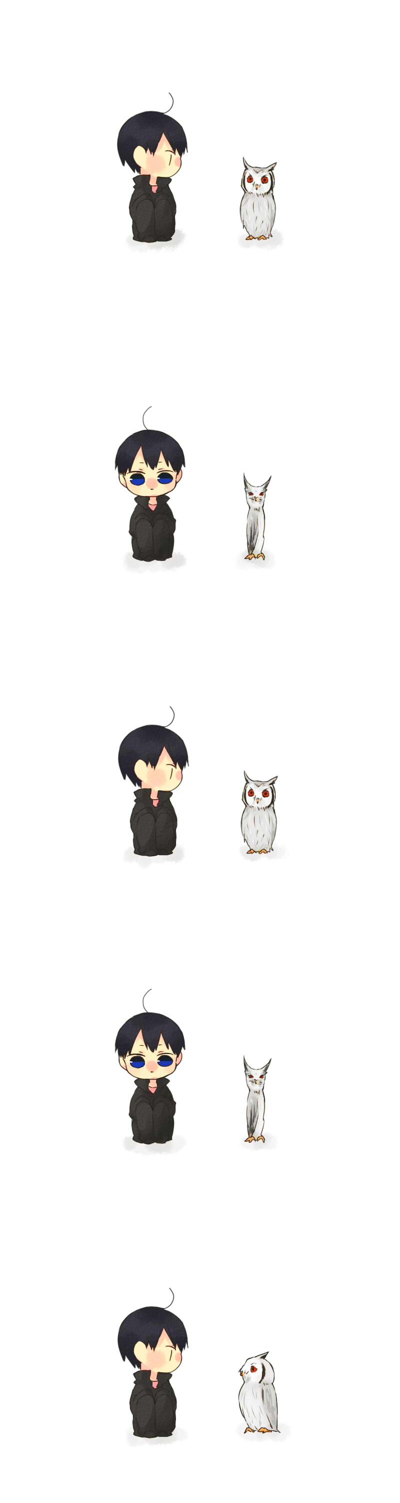 影山くんと木菟插画图片壁纸