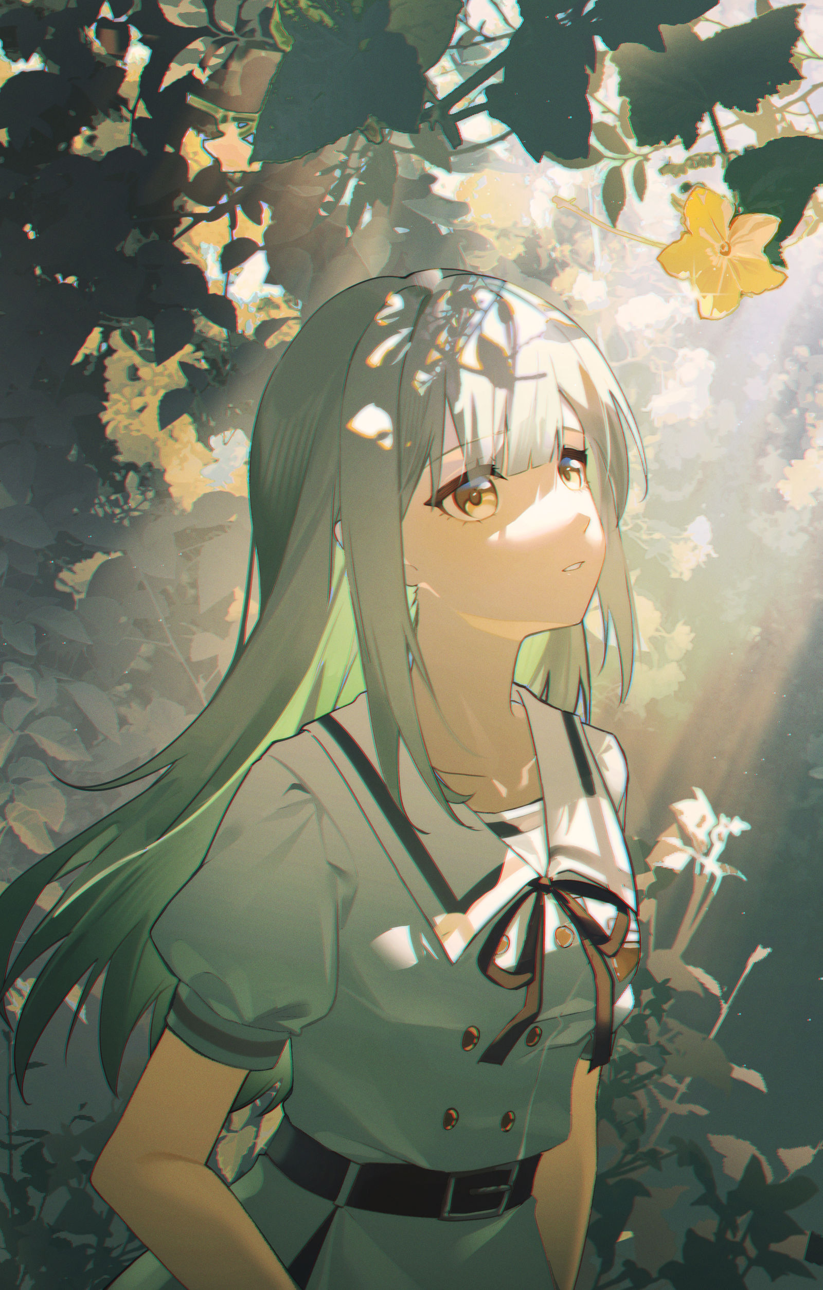 Mysterious Land插画图片壁纸