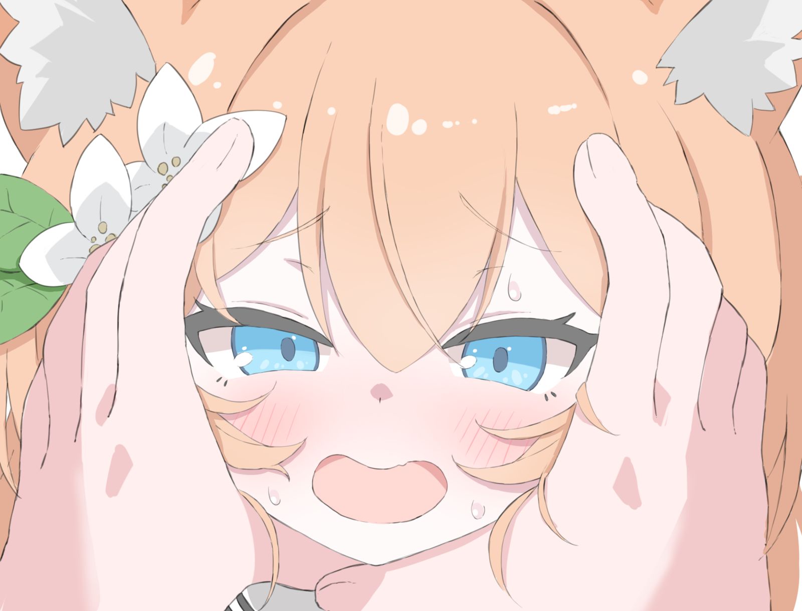 ハマるマリー