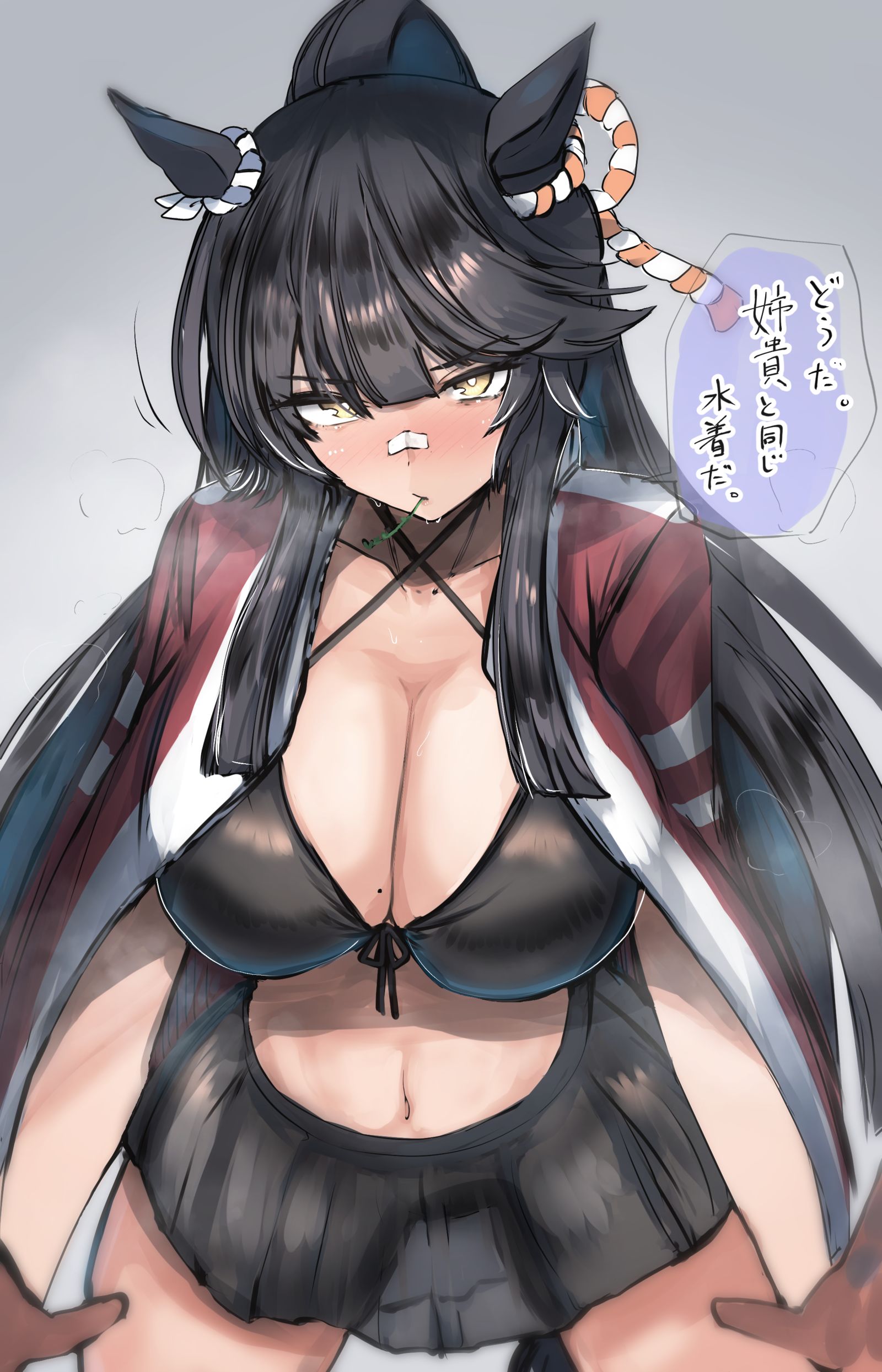 ナリタブライアン　水着