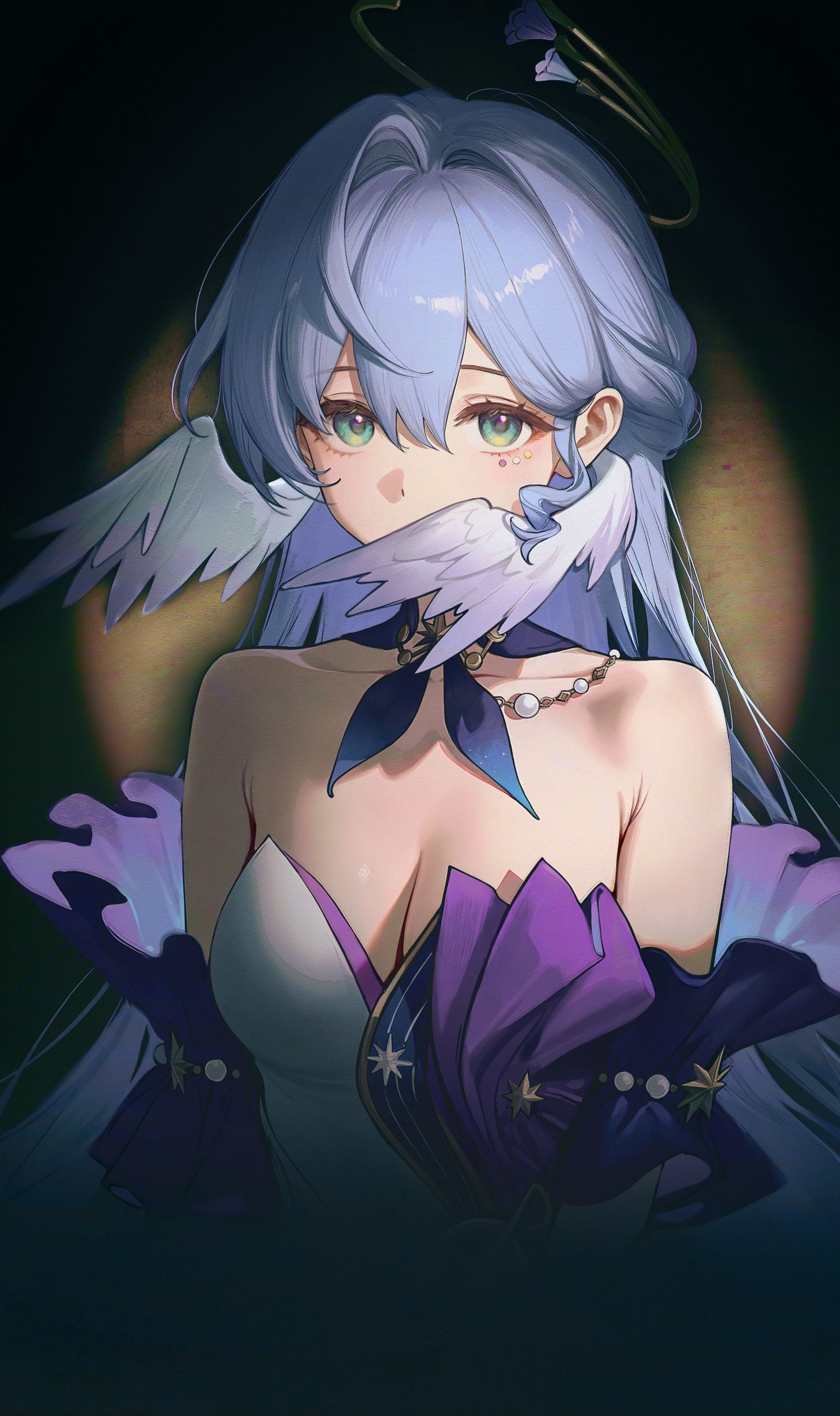.-知更鸟海贼王罗宾