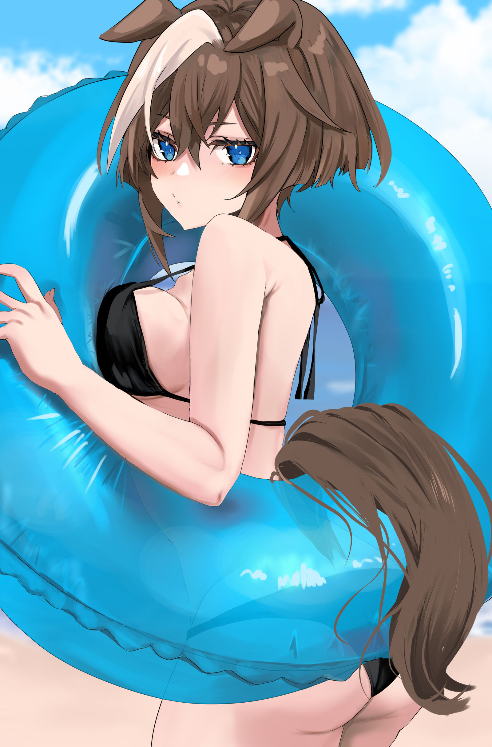 シュヴァ君-马娘赛马娘