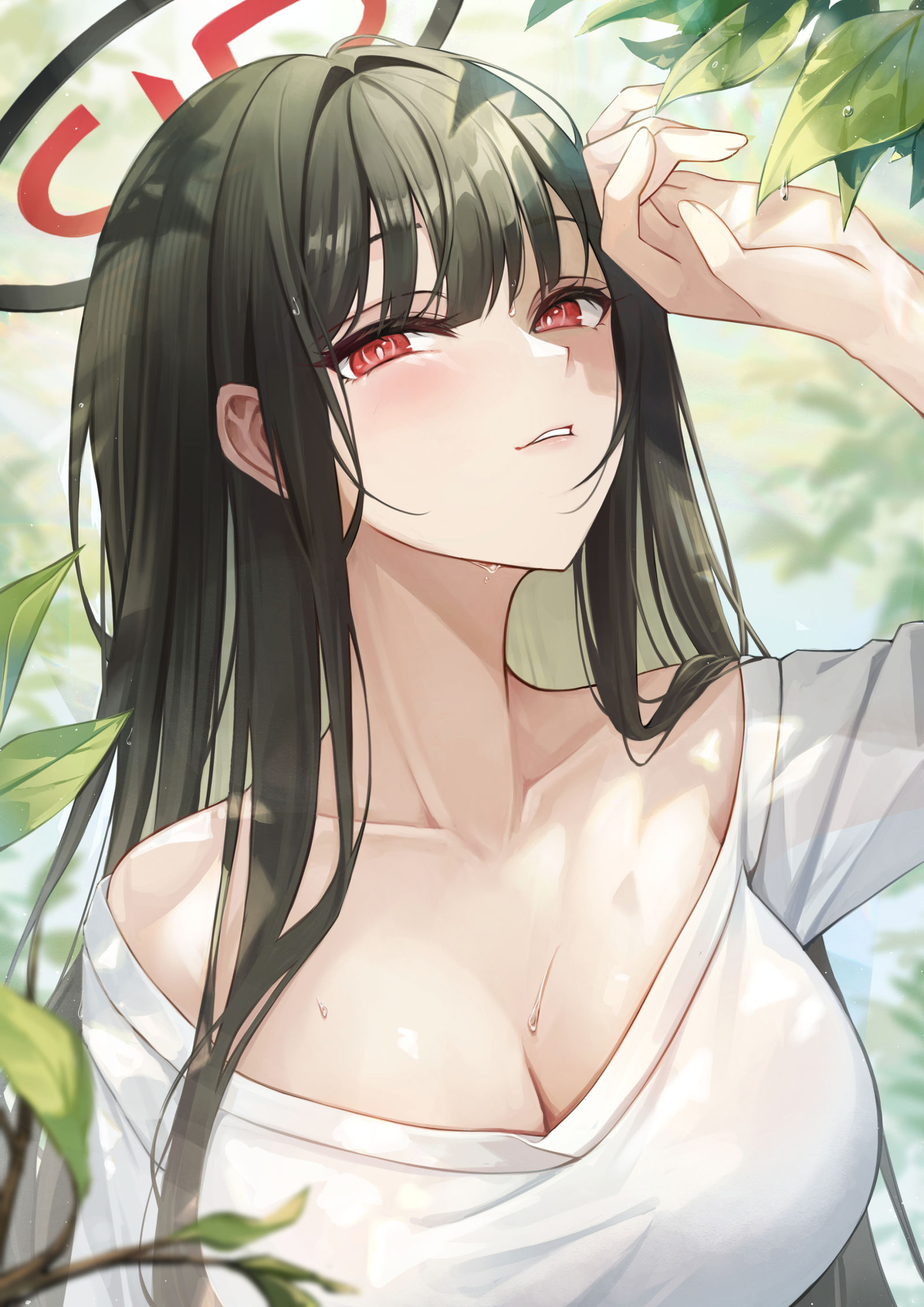 森の中のリオ插画图片壁纸