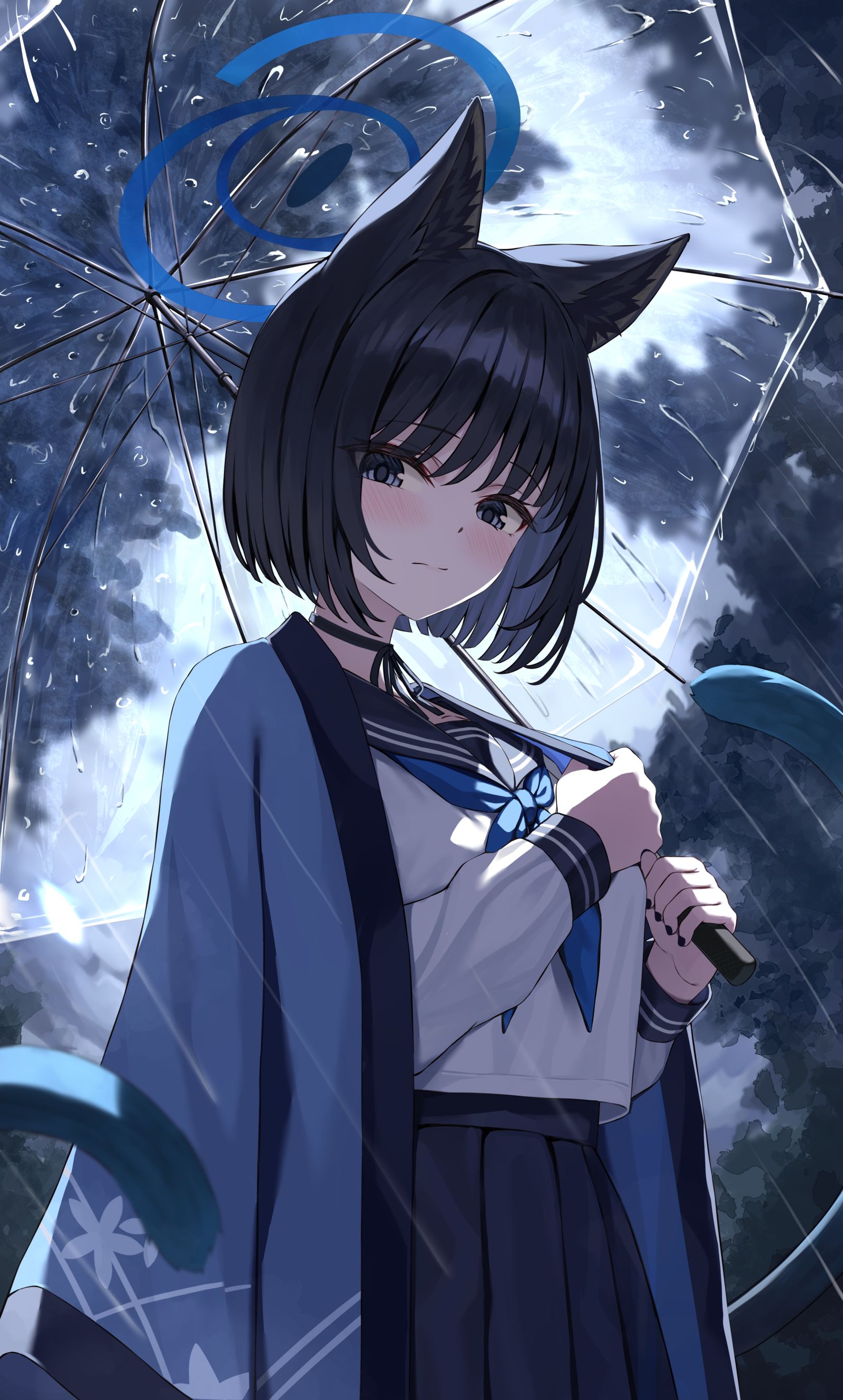 雨の日キキョウ插画图片壁纸
