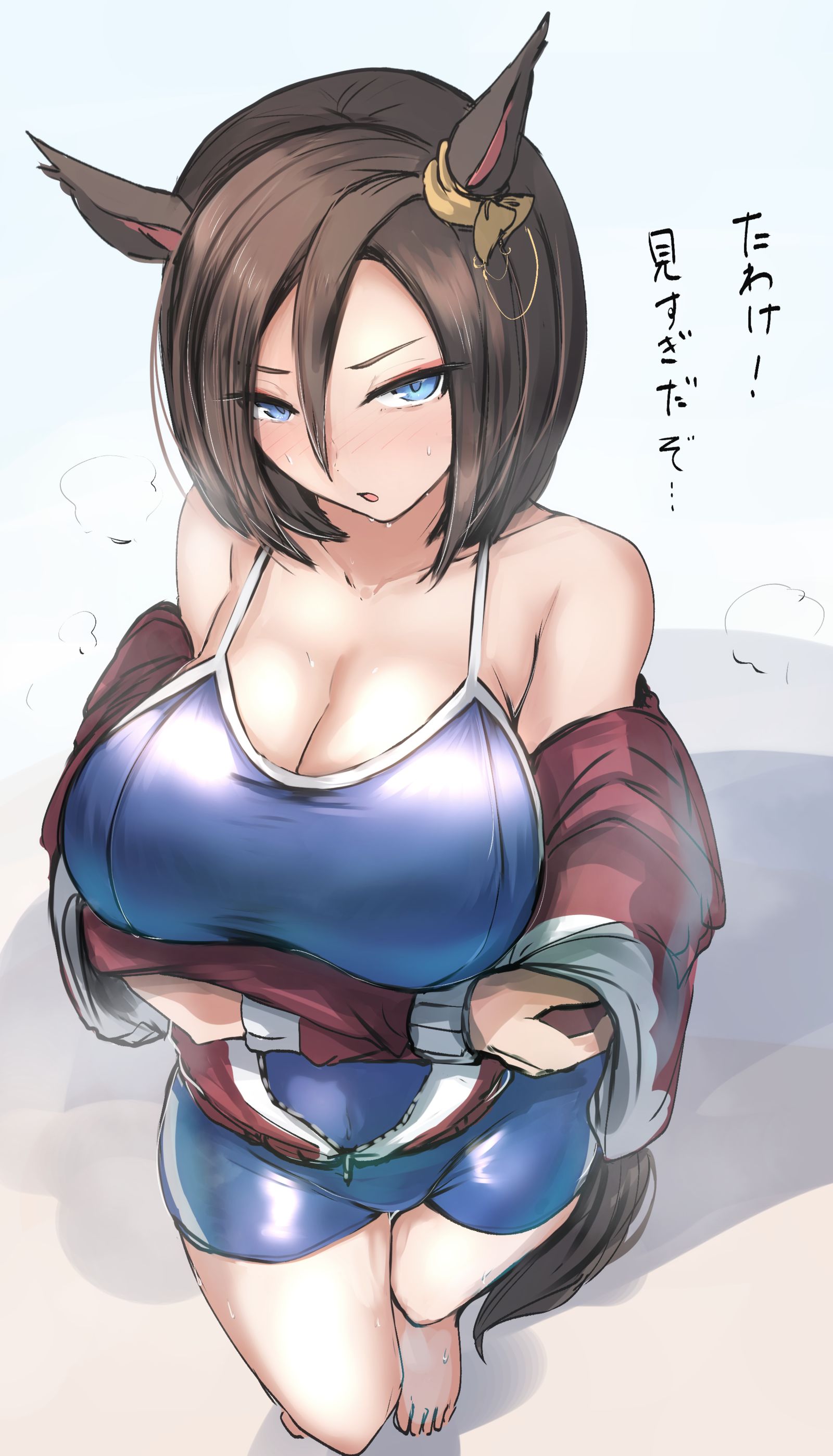 たわけ-马娘赛马娘气槽