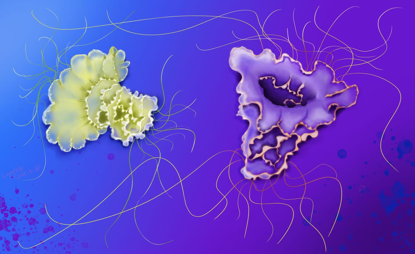 水母-水彩插画美术插画