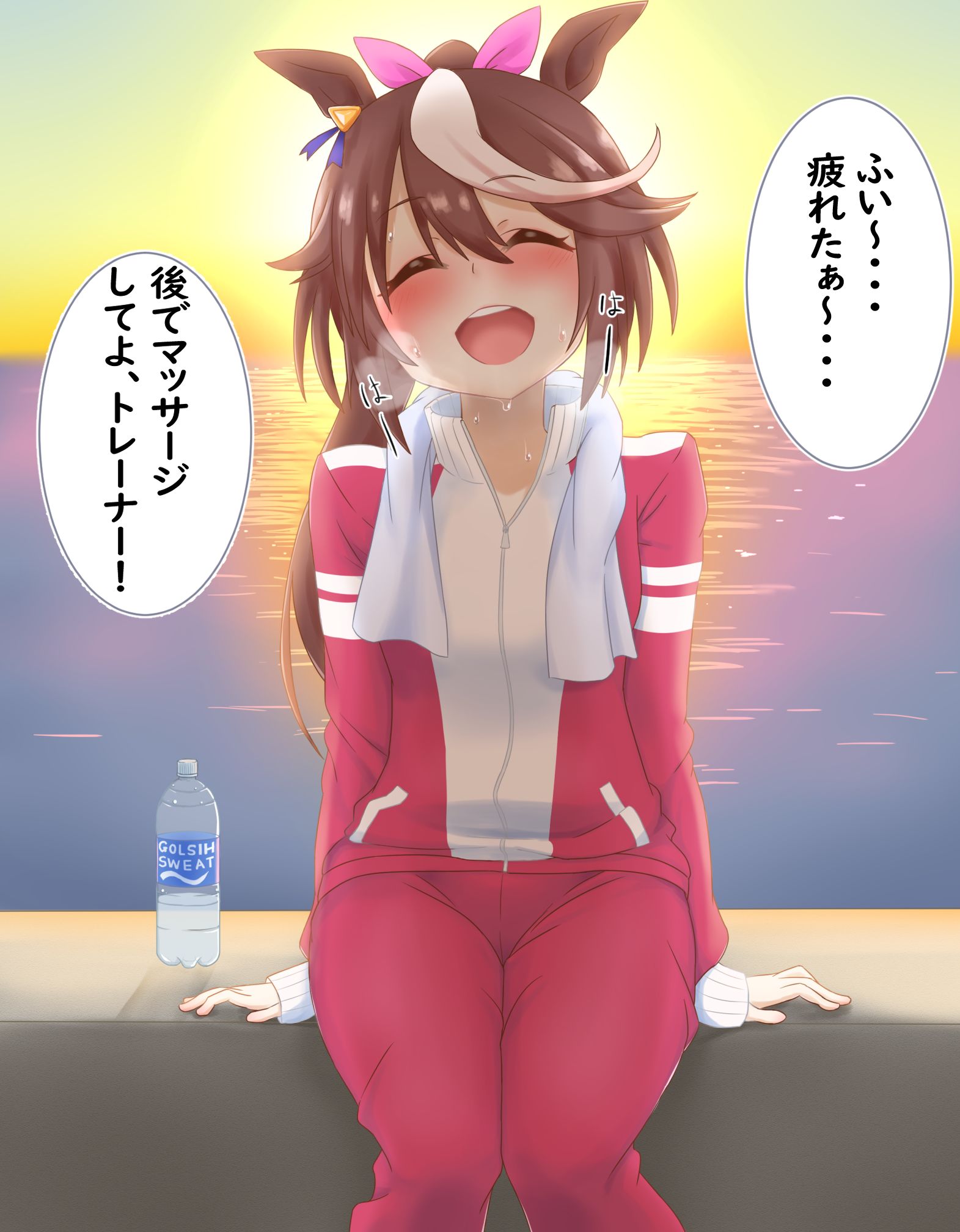 トレーニング後のテイオー