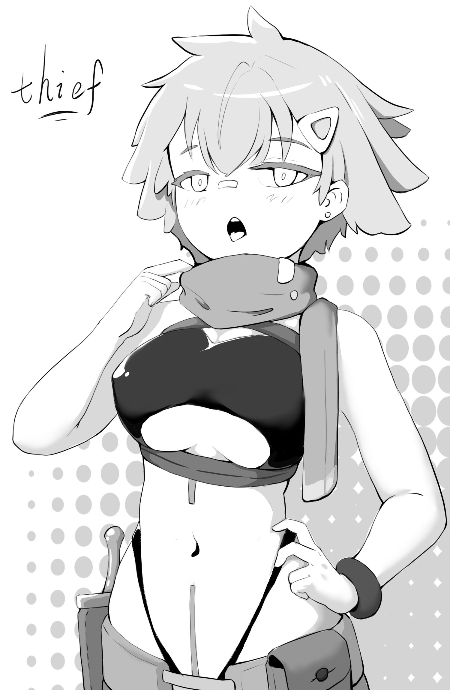 盗贼小姐