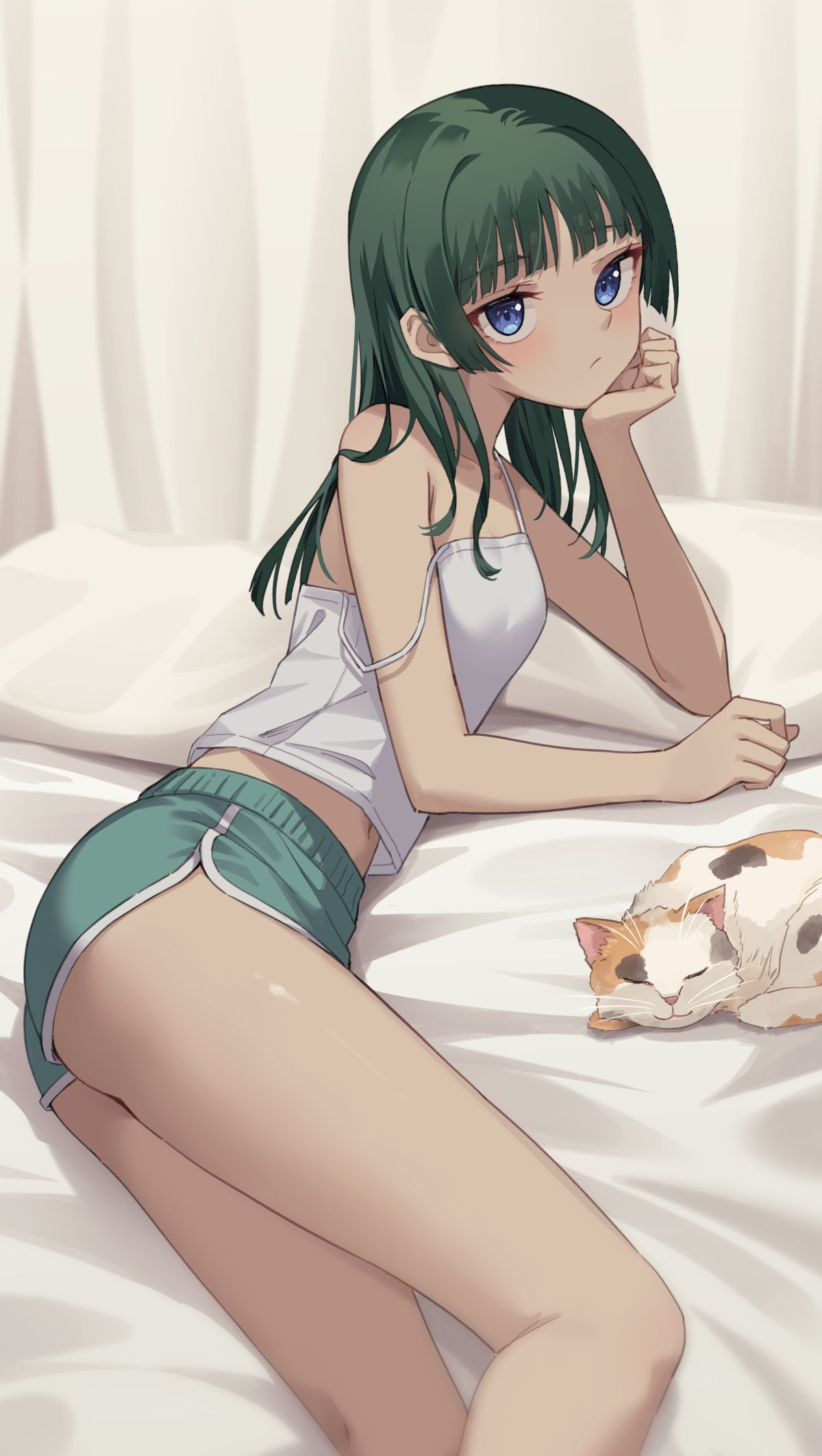 猫猫插画图片壁纸