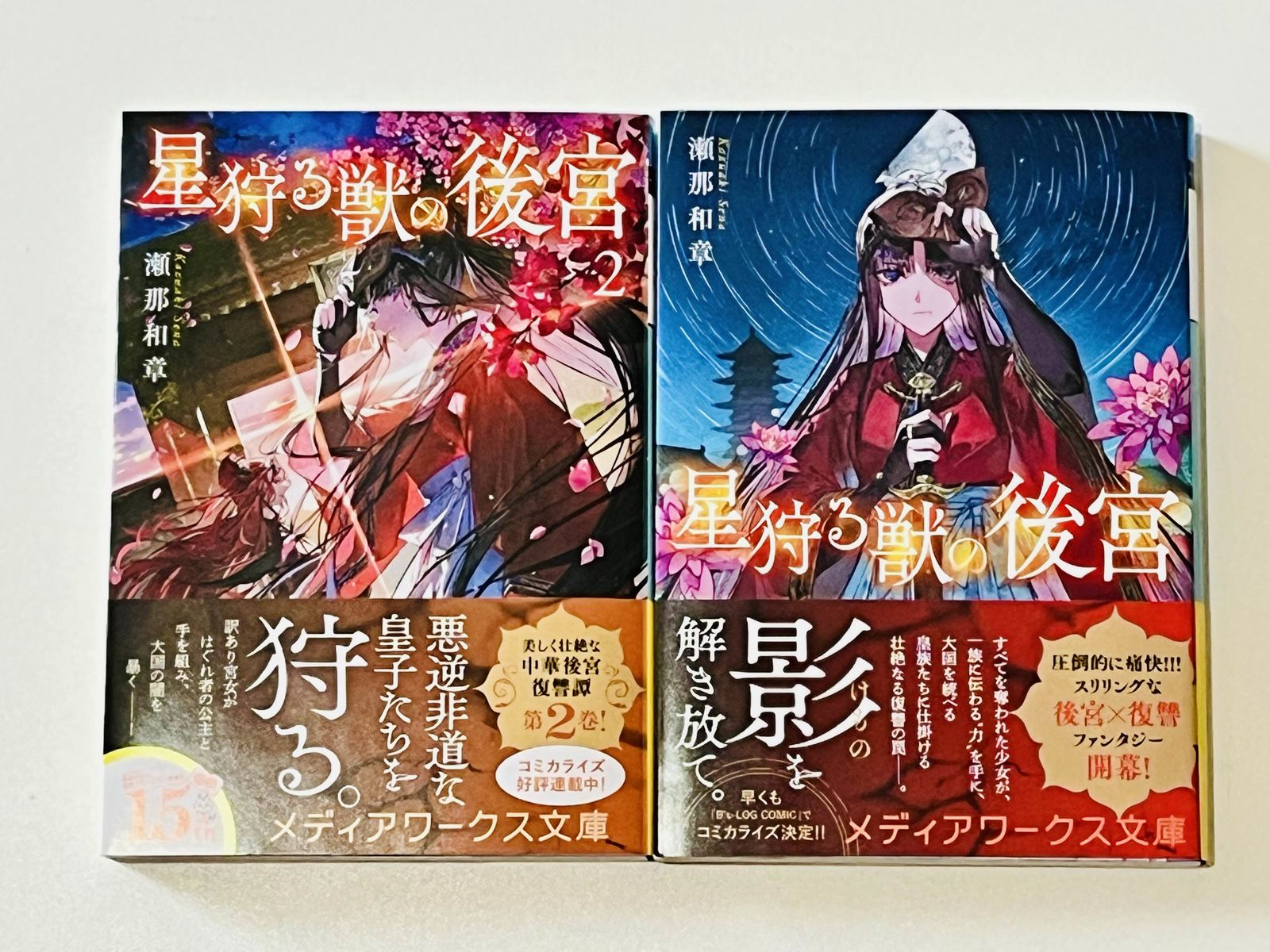 星狩る獣の後宮插画图片壁纸
