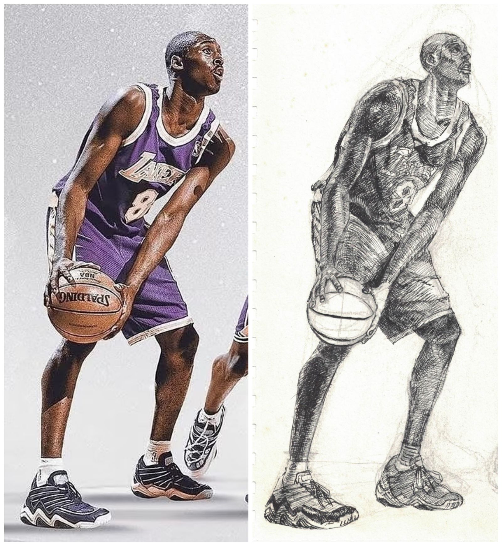 摸个科比插画图片壁纸