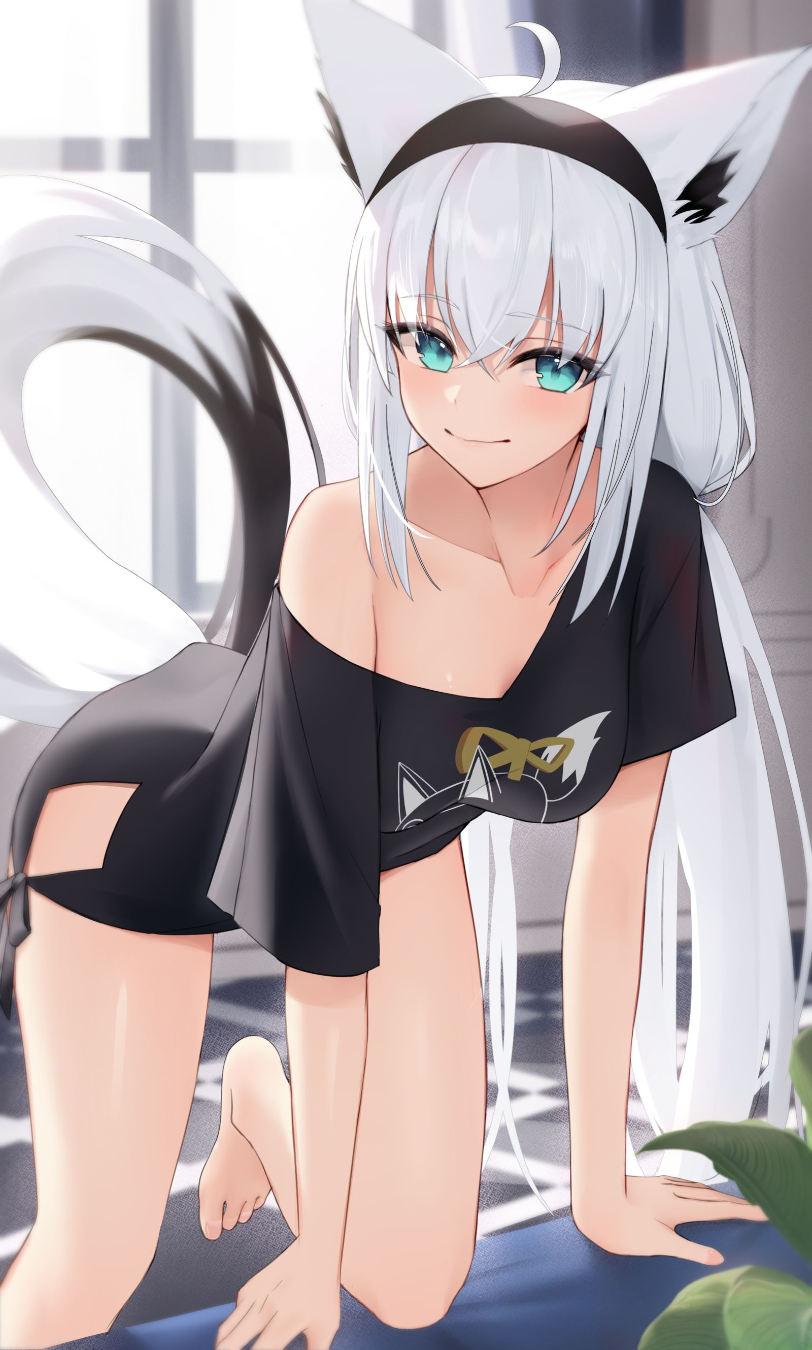 部屋着フブさん插画图片壁纸