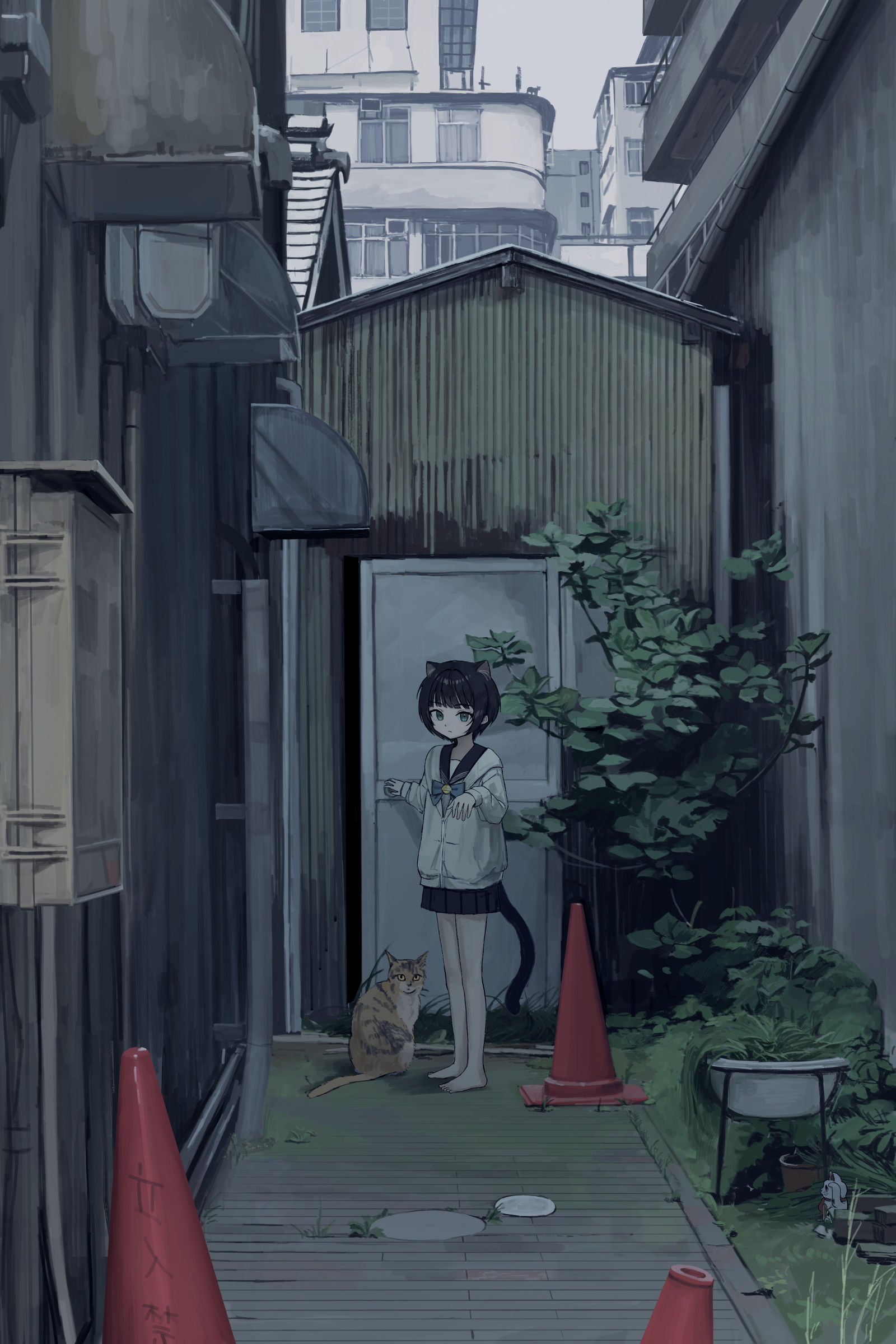 こっち...插画图片壁纸