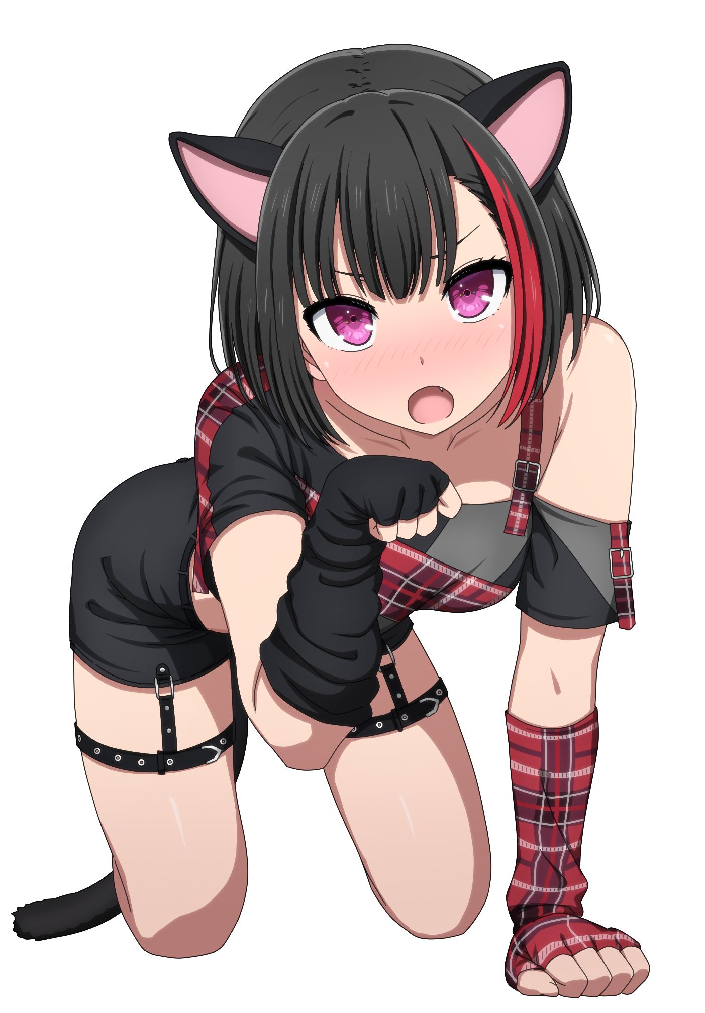 猫蘭-BanGDreamBanG Dream!
