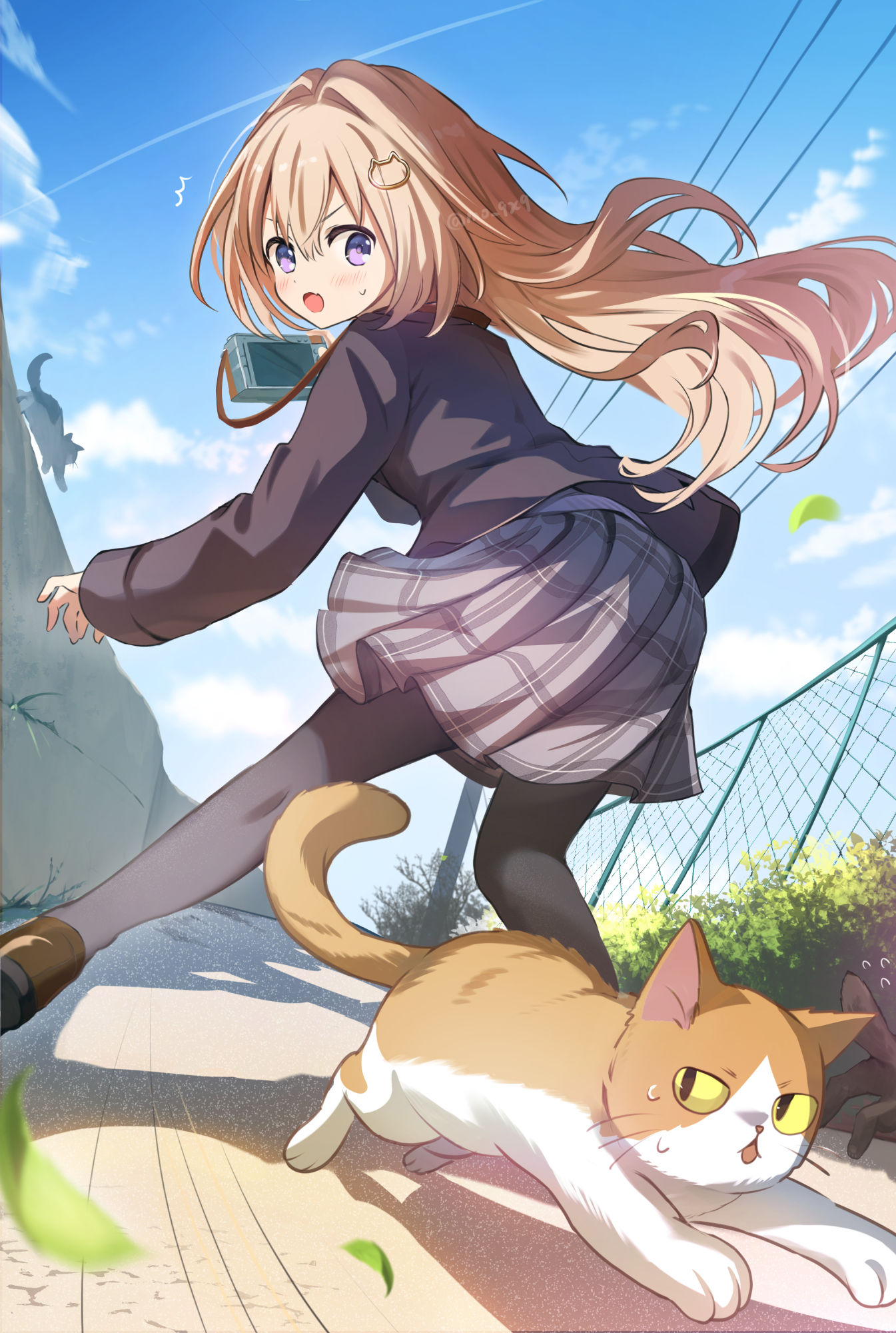 ネコと和解したい後輩ちゃん 「ああ！逃げないでくださいー！」