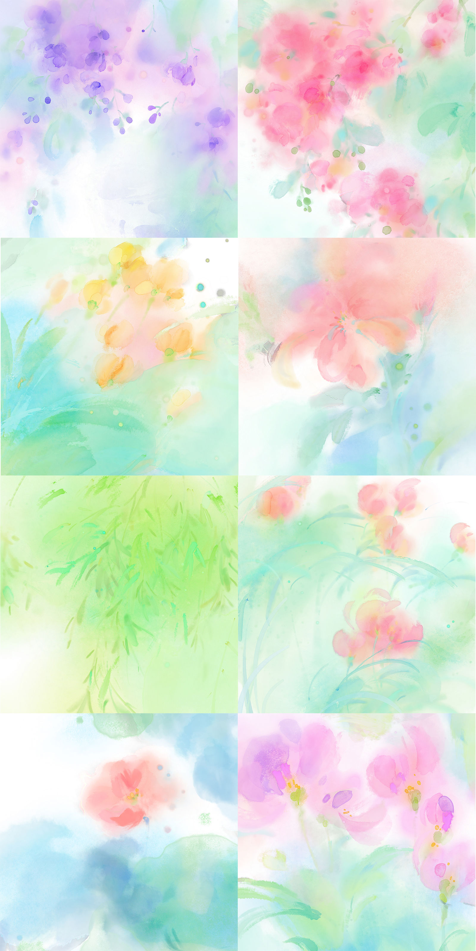 花是主人