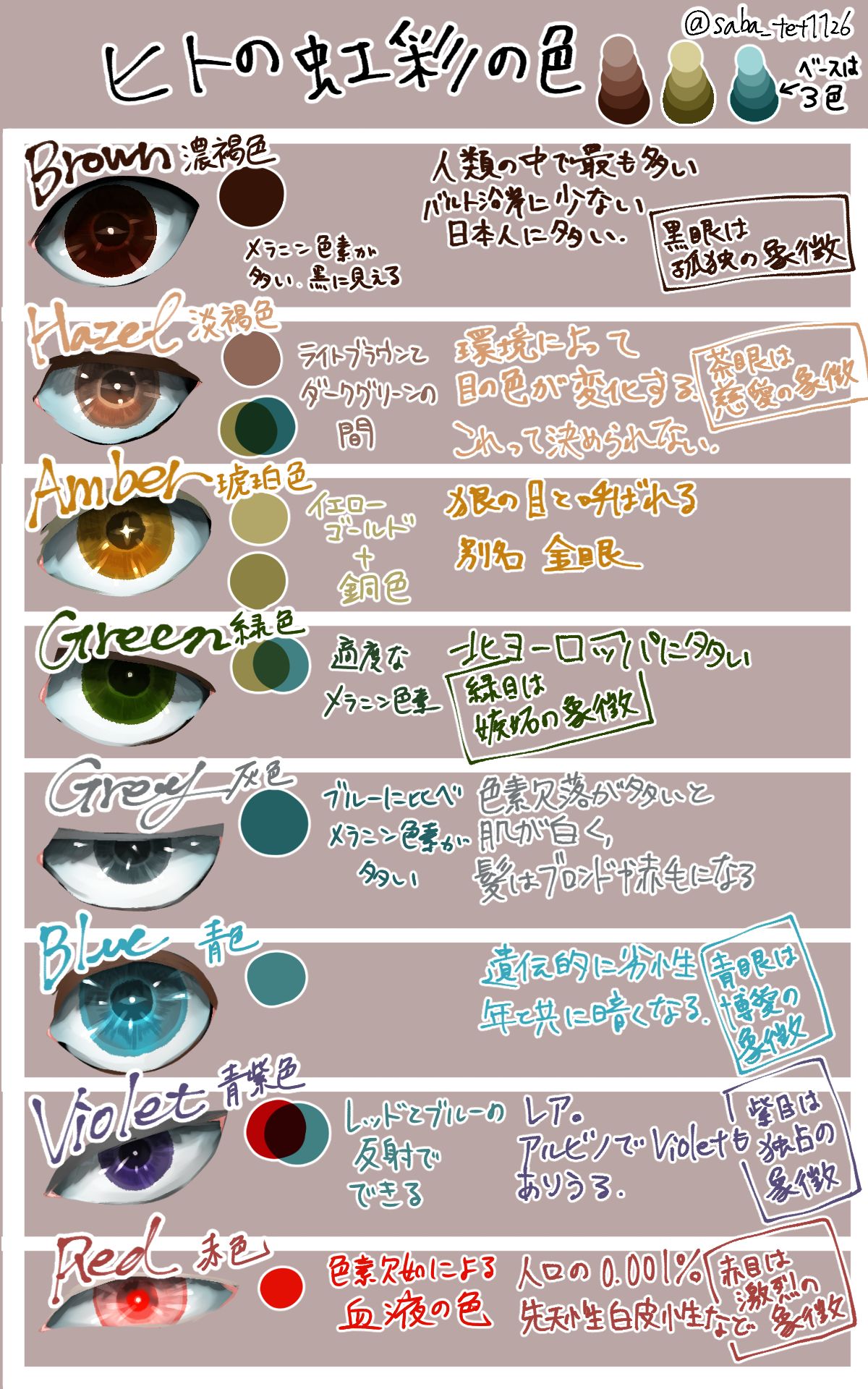 ヒトの虹彩の色-讲座虹彩