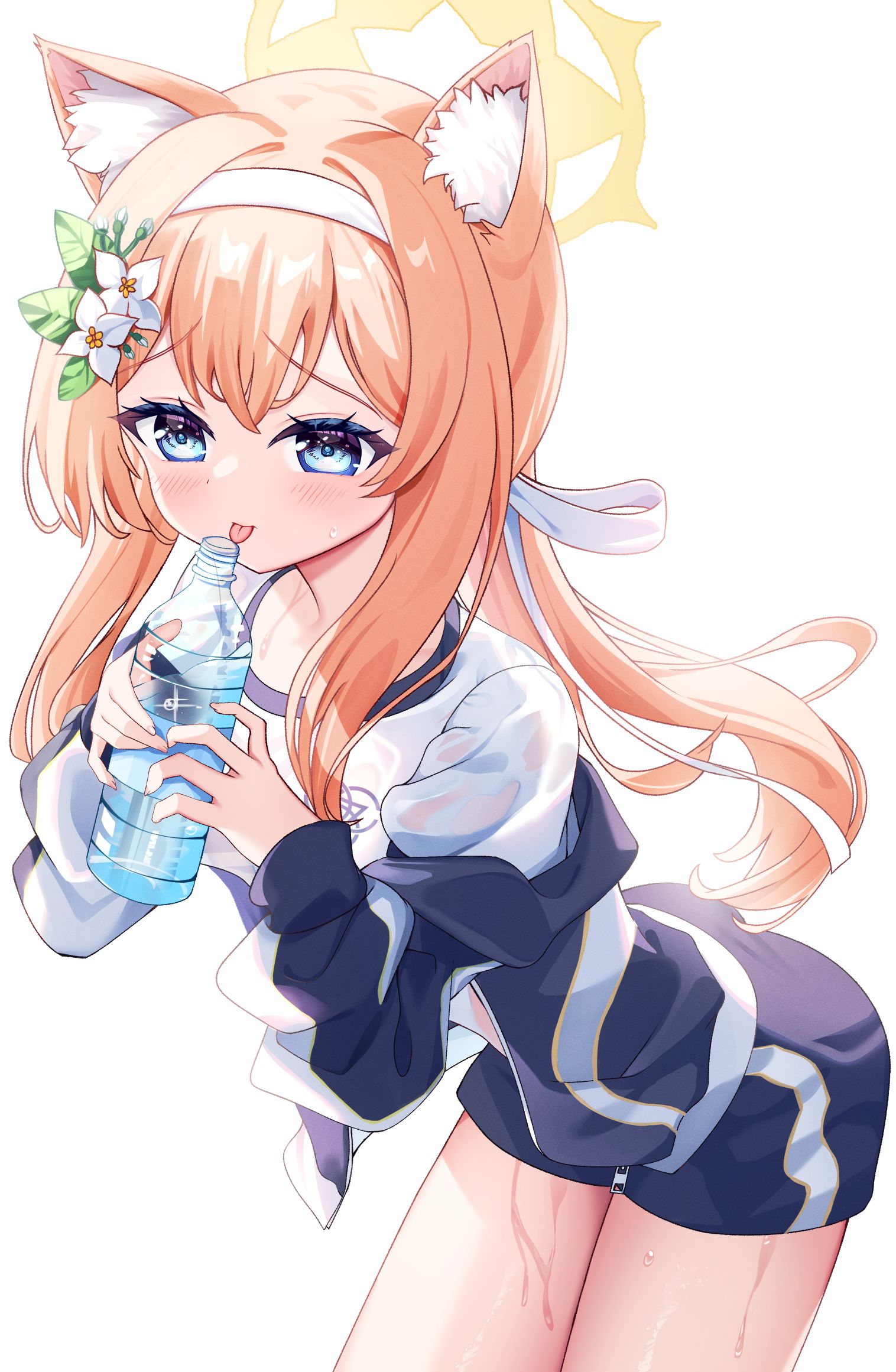 先生が飲んだ水-碧蓝档案伊落玛丽