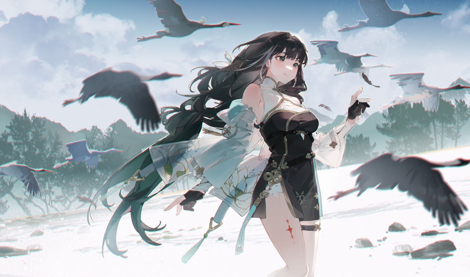 白莲插画图片壁纸