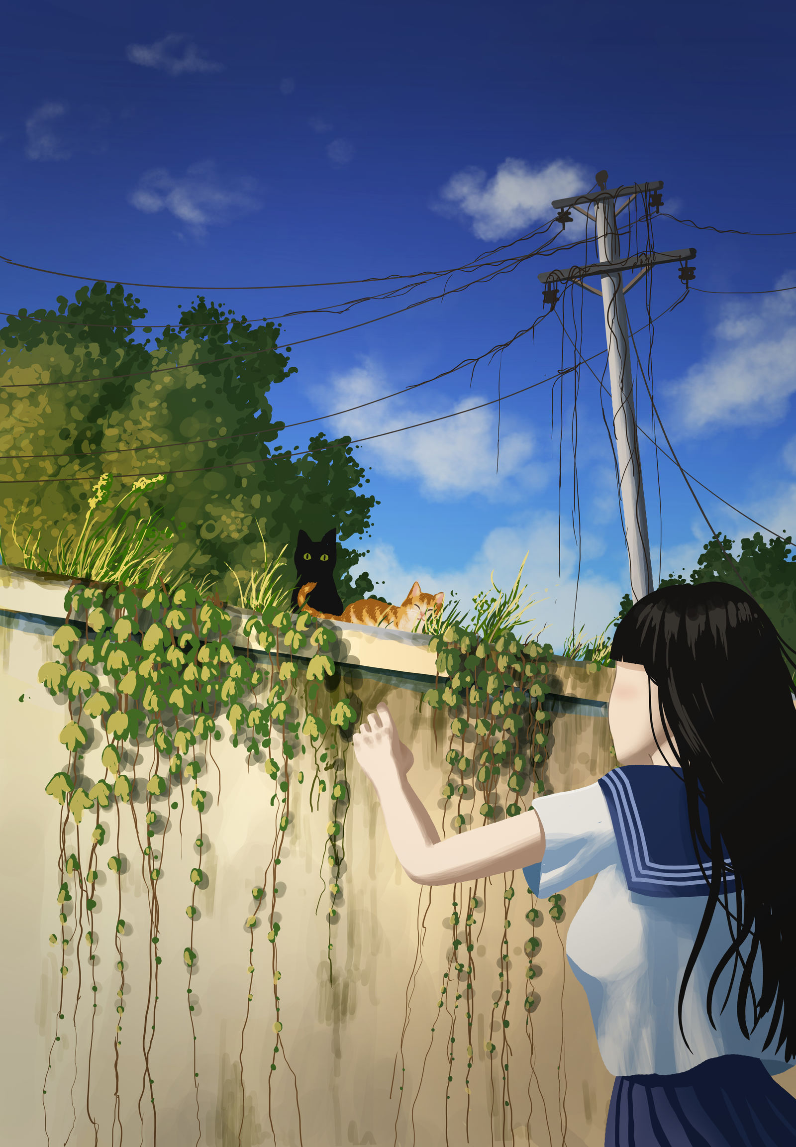 🐱🐈‍⬛-猫女子高生