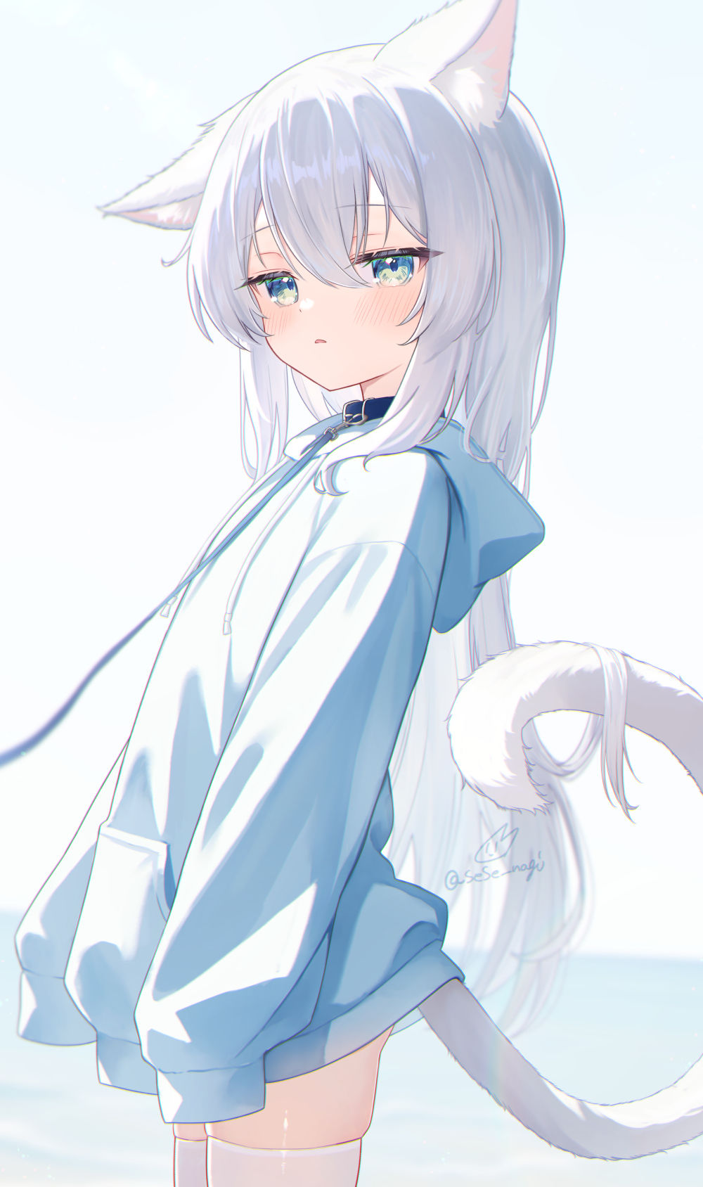 お散歩ツキシロちゃん