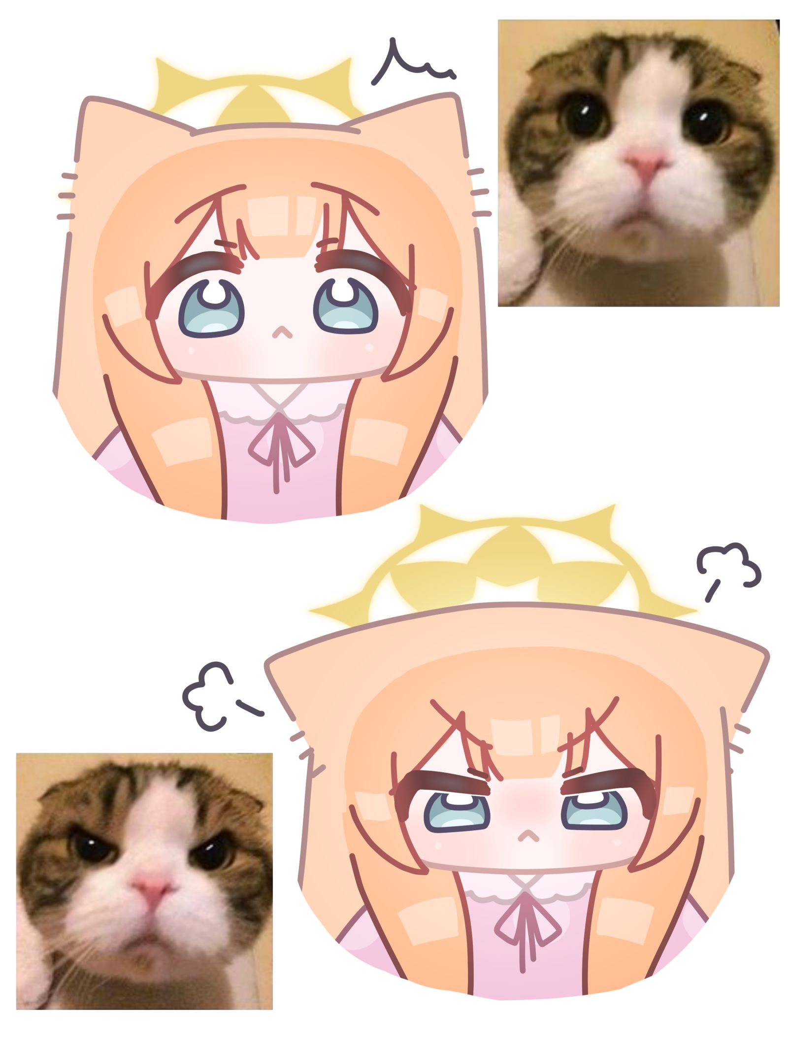 catcat插画图片壁纸