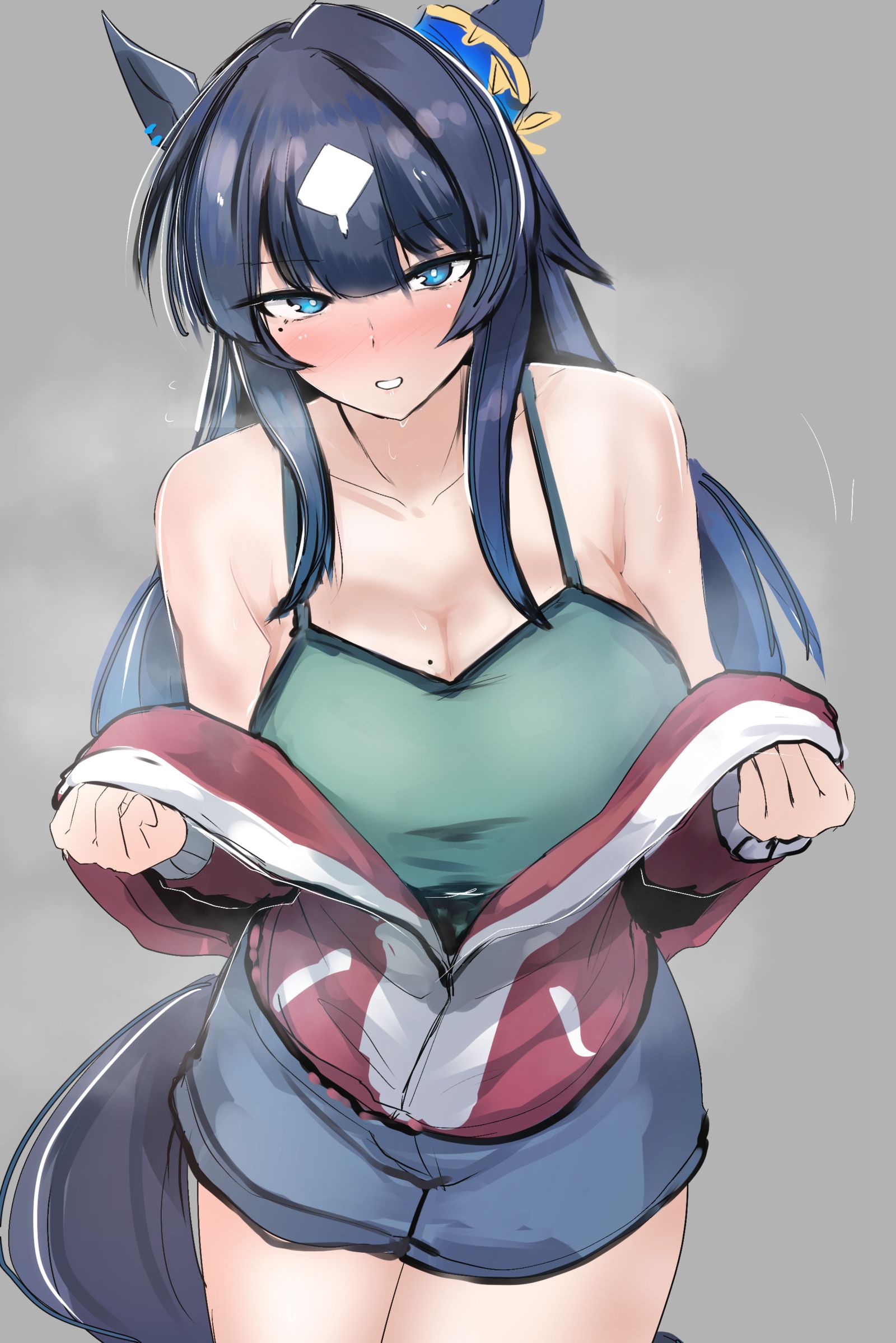 キャミヴィルシーナ插画图片壁纸