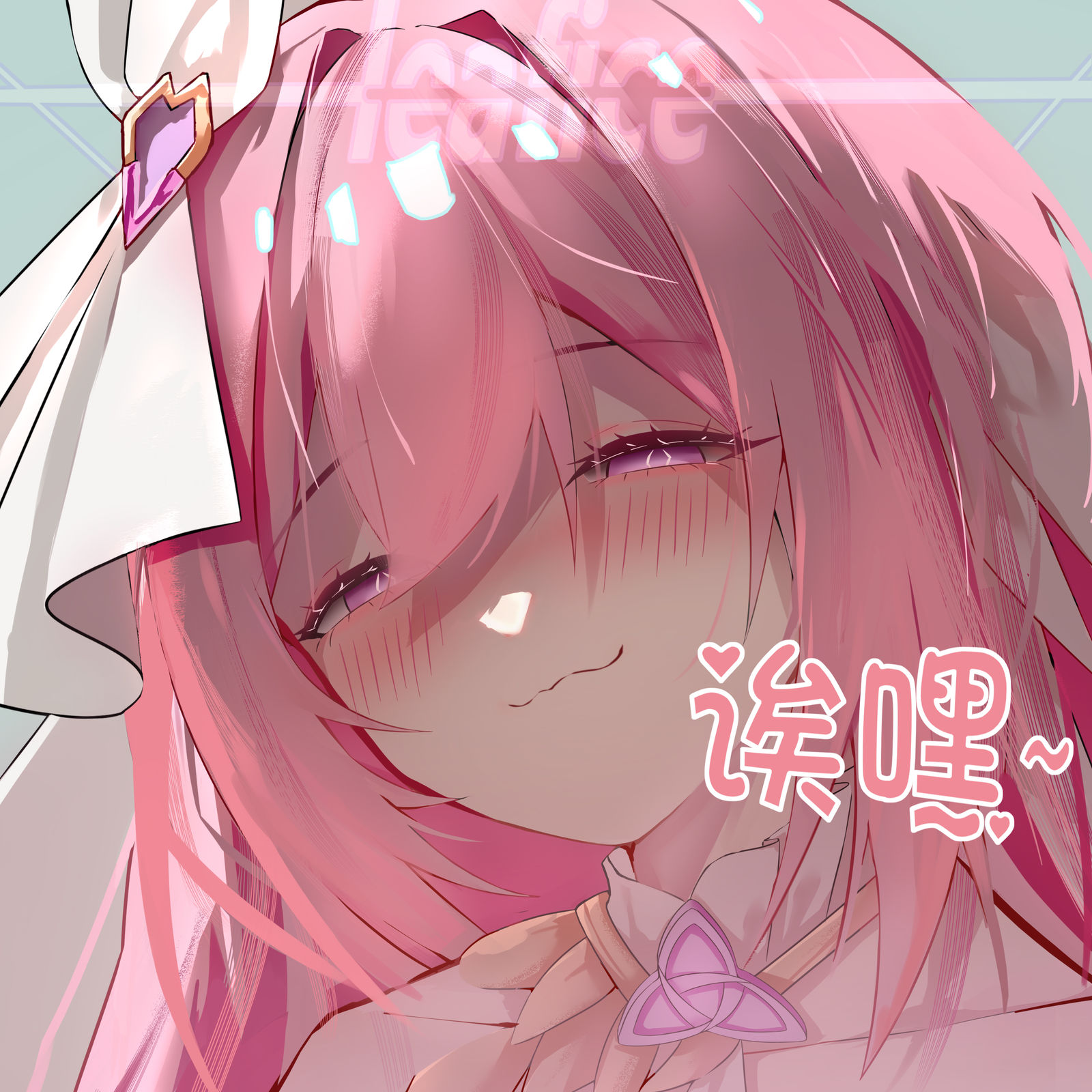 爱莉希雅~(ﾉ∇︎〃 )