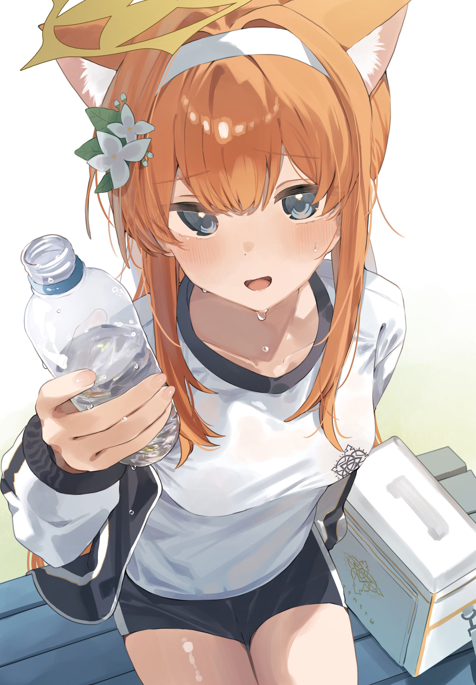 体操服マリー插画图片壁纸
