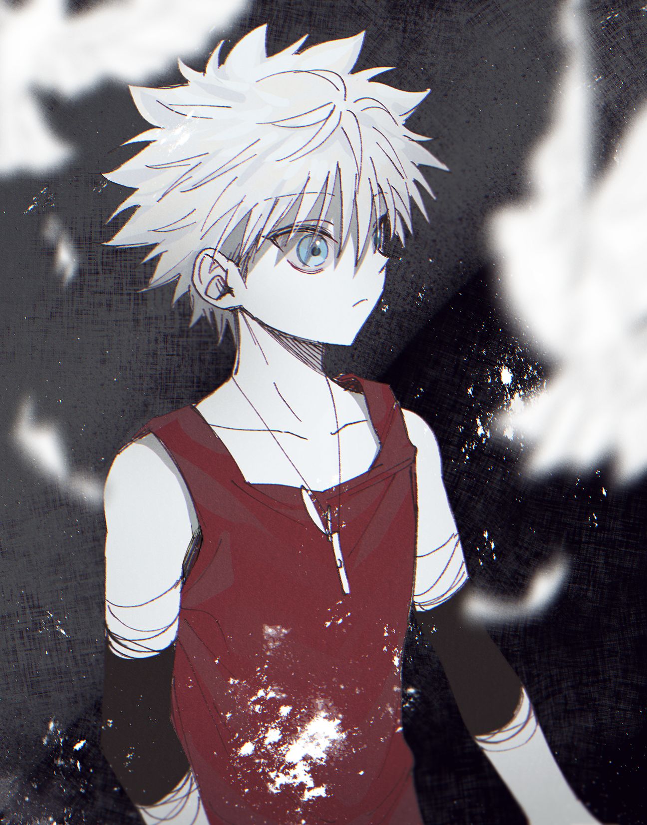 ️-全职猎人奇犽·揍敌客