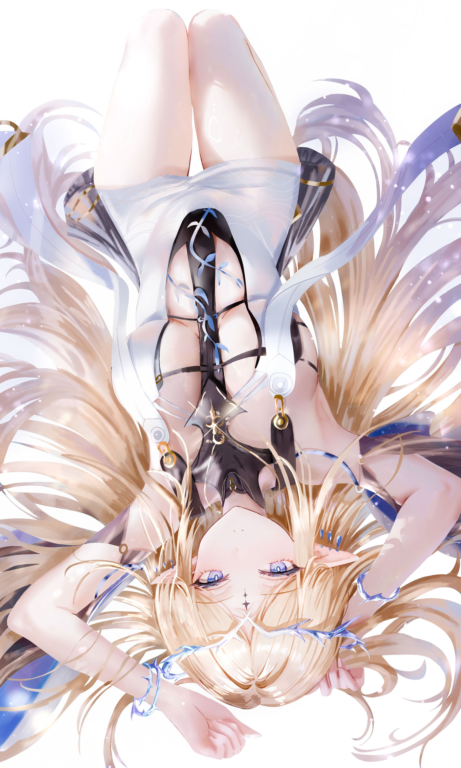 Cartethyia插画图片壁纸