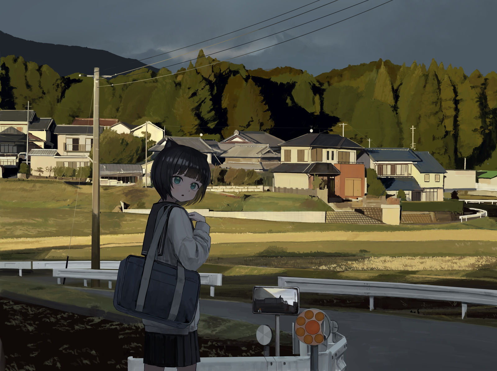 あんなところに-猫背景