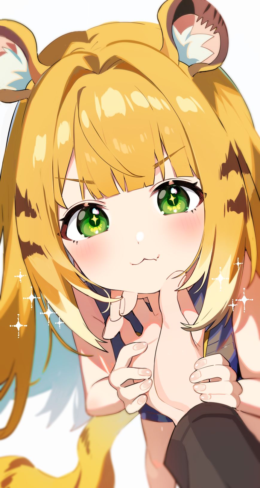 橘福福-橘福福绝区零