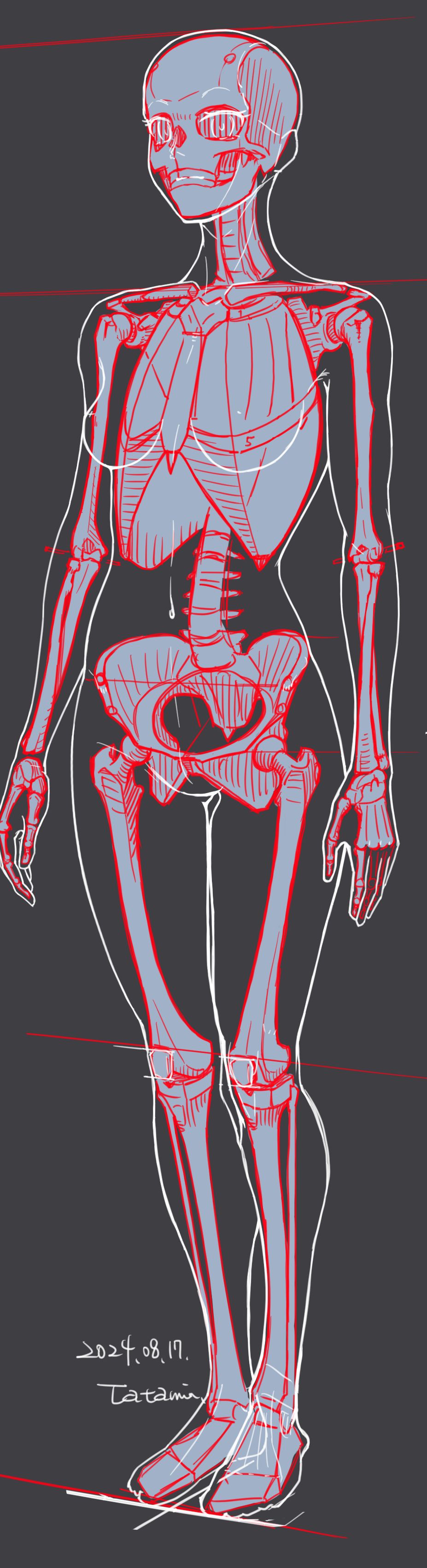 キャラ絵の骨格練習插画图片壁纸