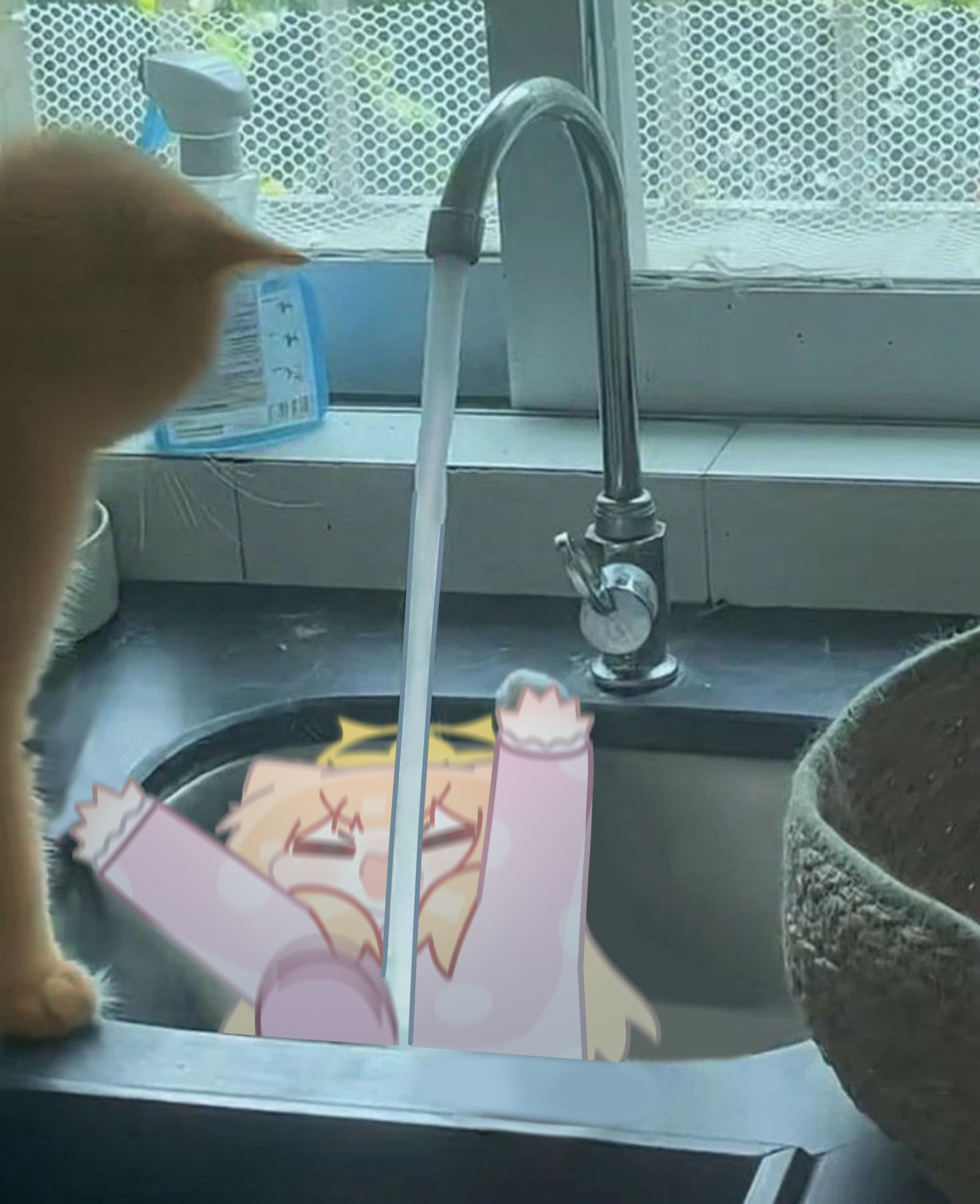 sink插画图片壁纸