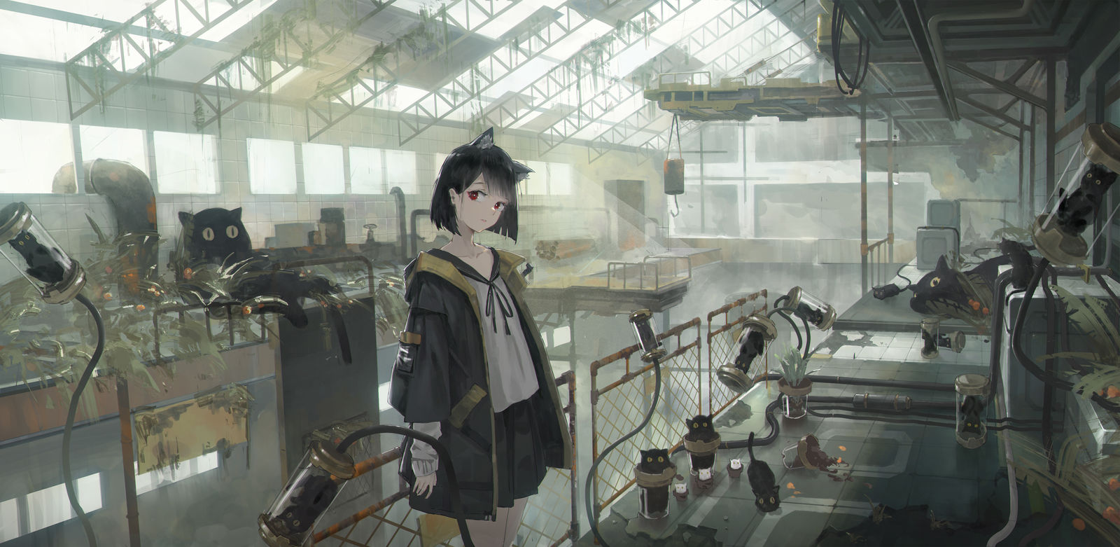 井小姐和猫和猫罐头头像同人高清图