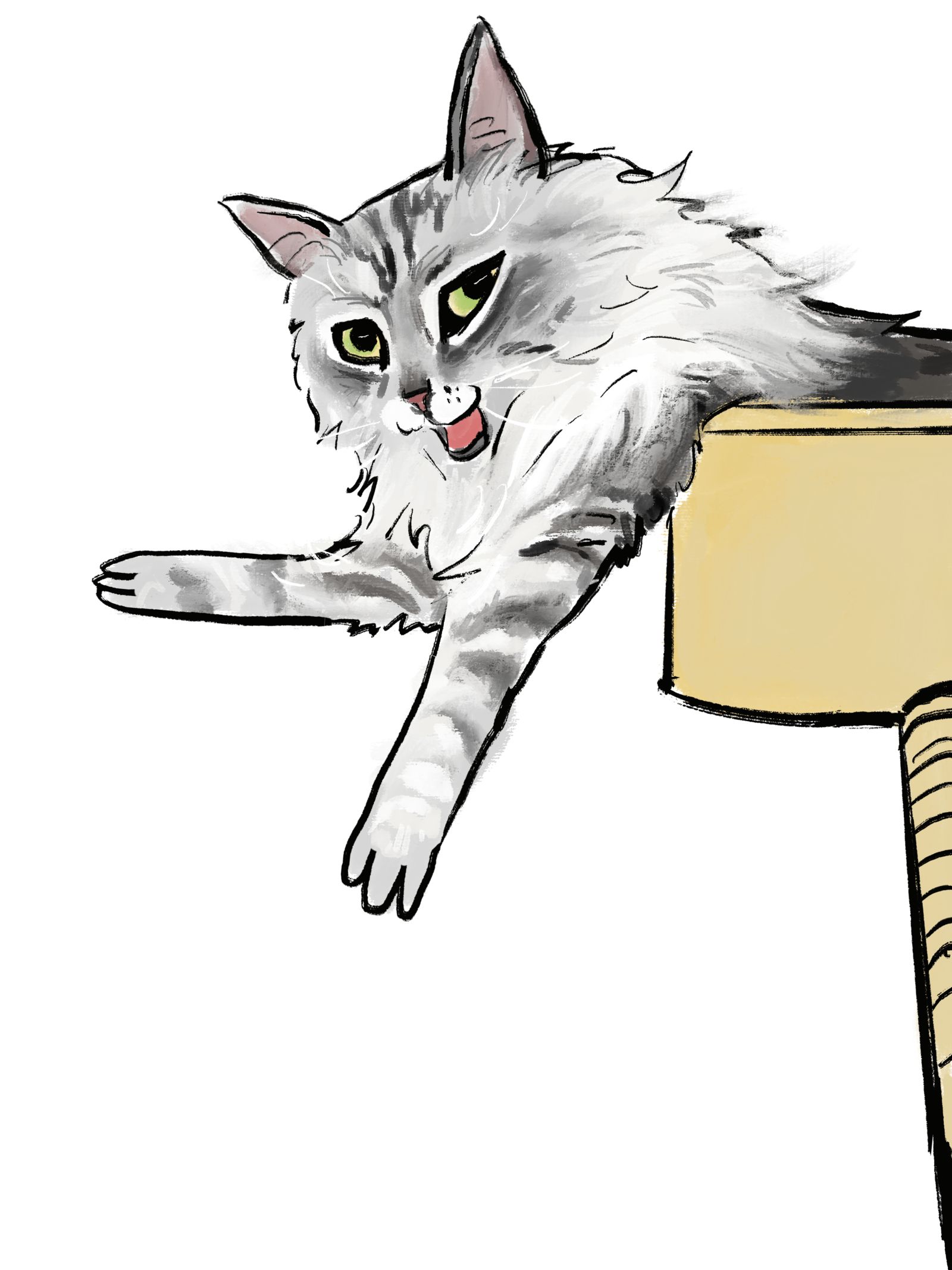 潦草丑萌可爱风猫猫板绘头像同人高清图