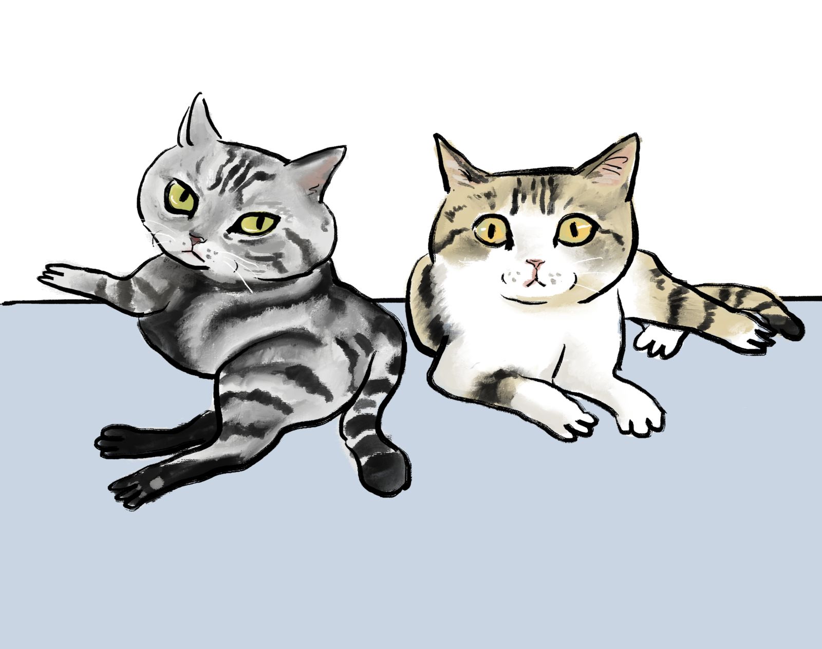 猫猫板绘头像同人高清图