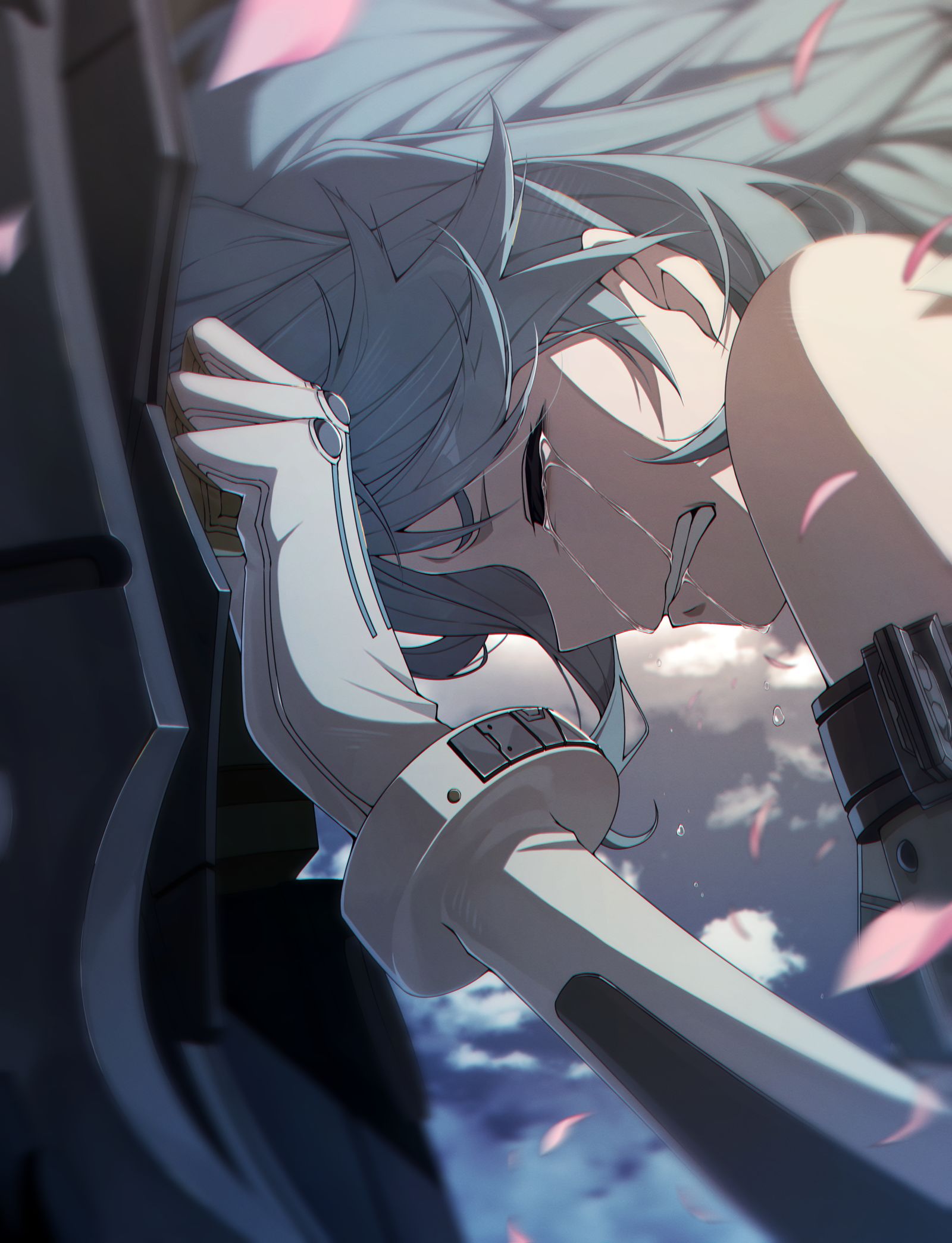 BIG SEED..插画图片壁纸