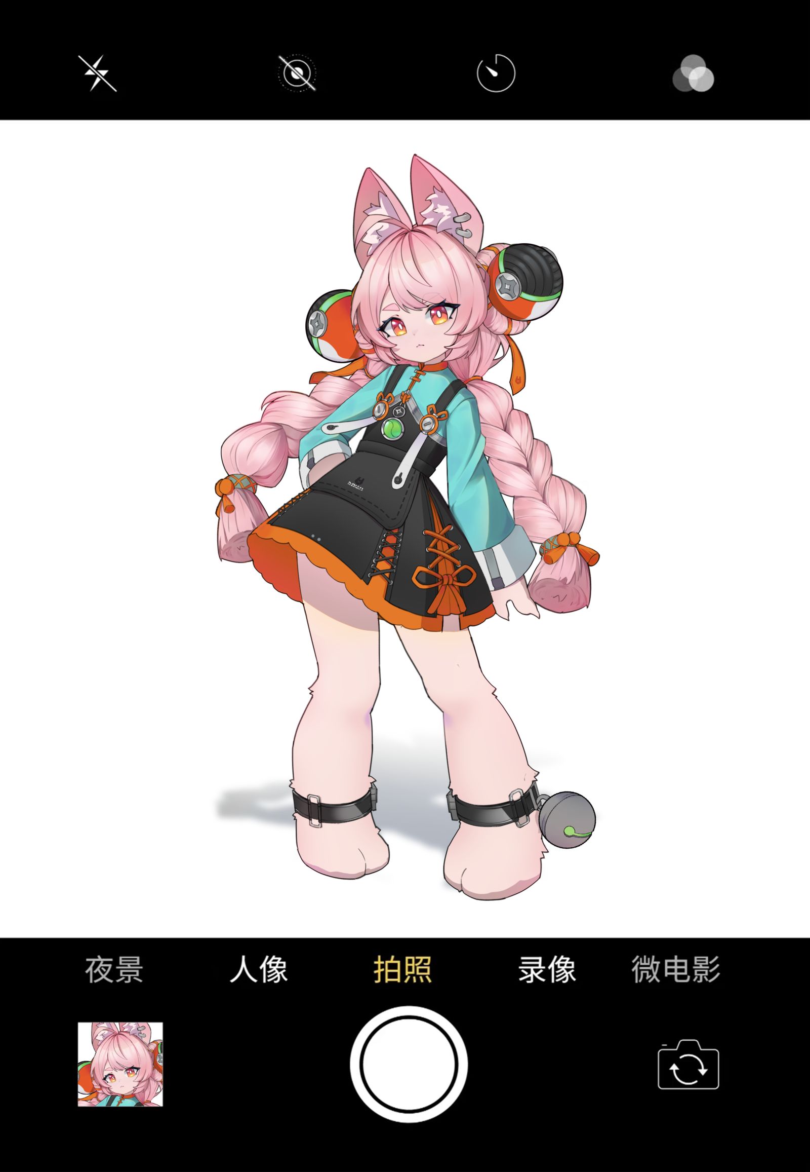 拍个照-绝区零绝区零照