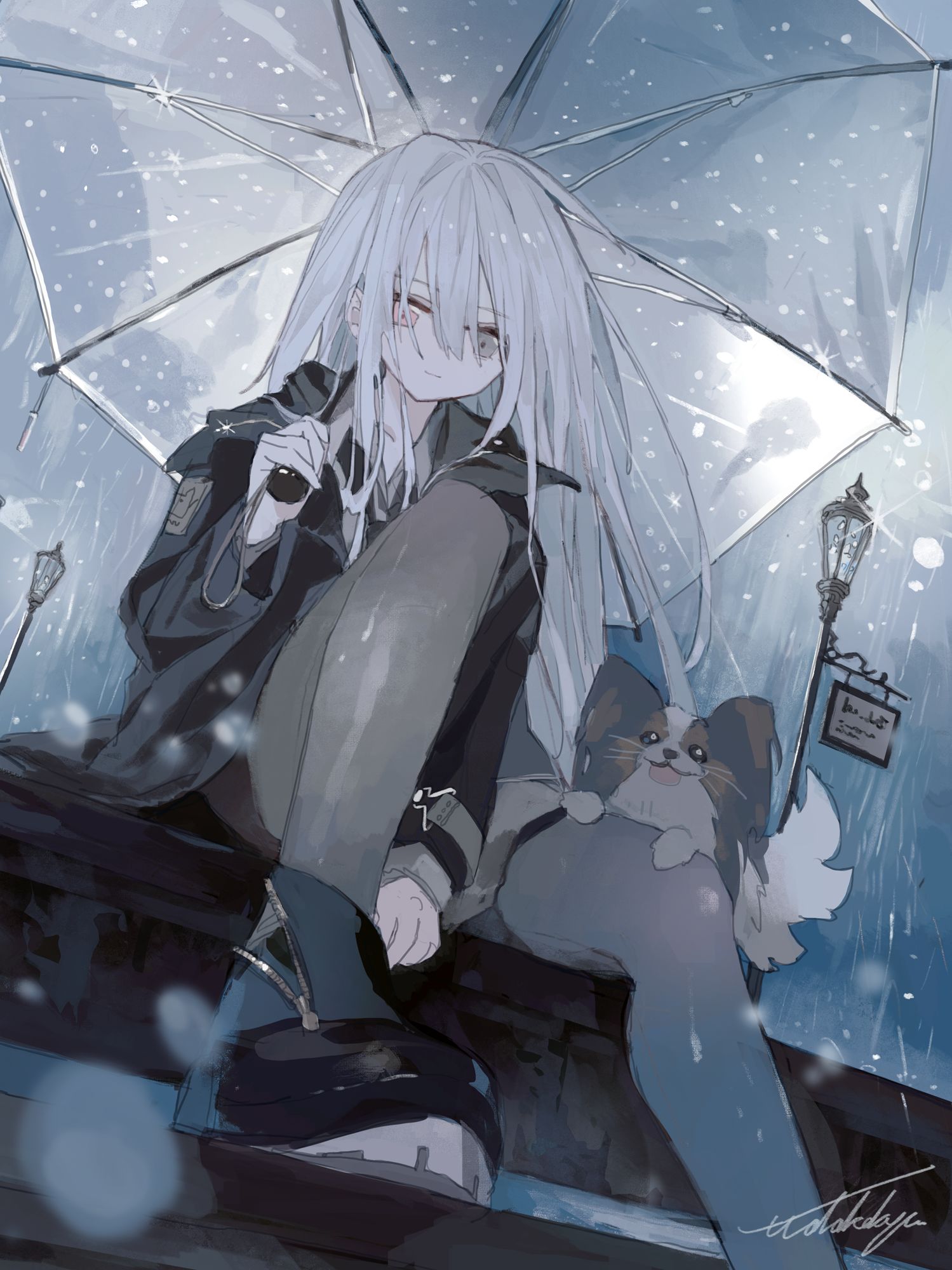 umbrella插画图片壁纸