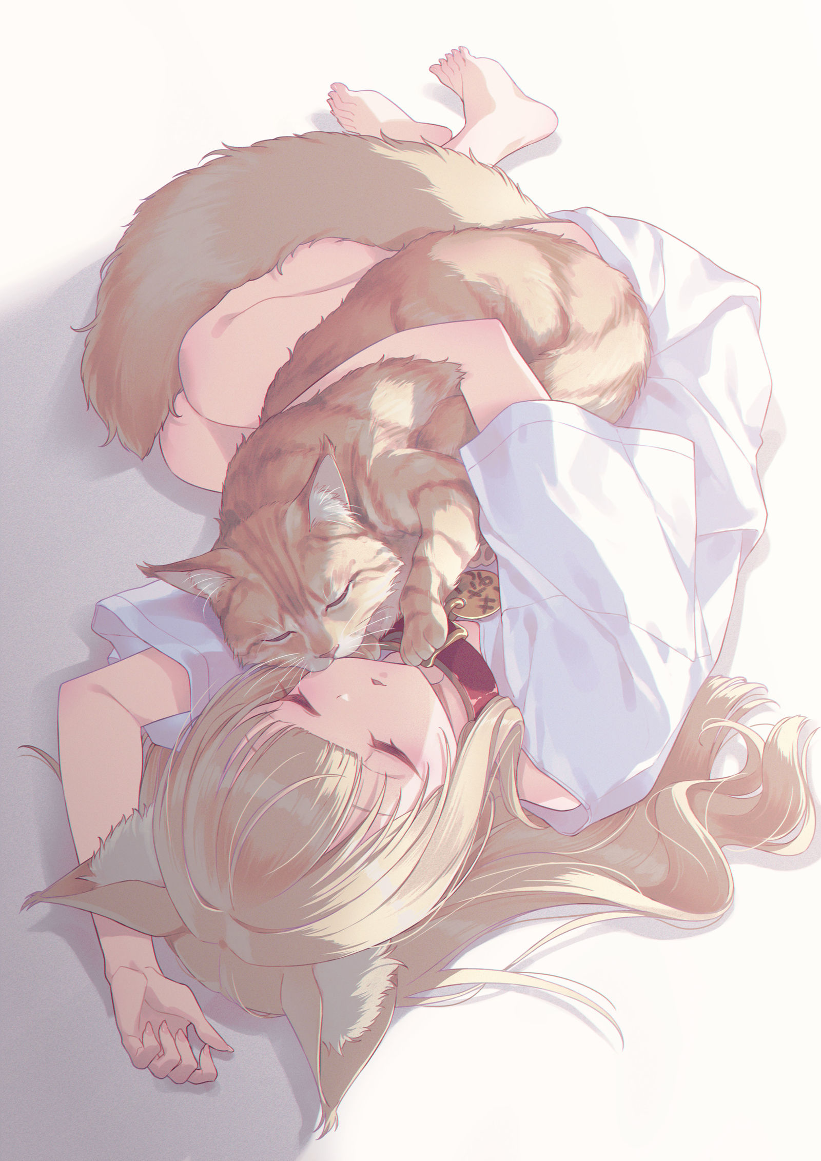 きなこと一緒にお昼寝するきなこ