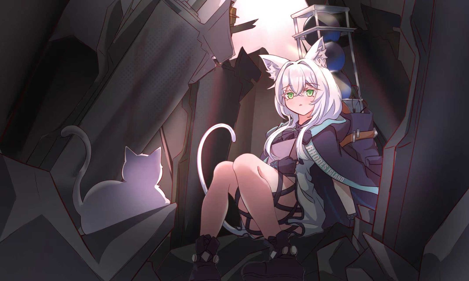 废墟与猫头像同人高清图