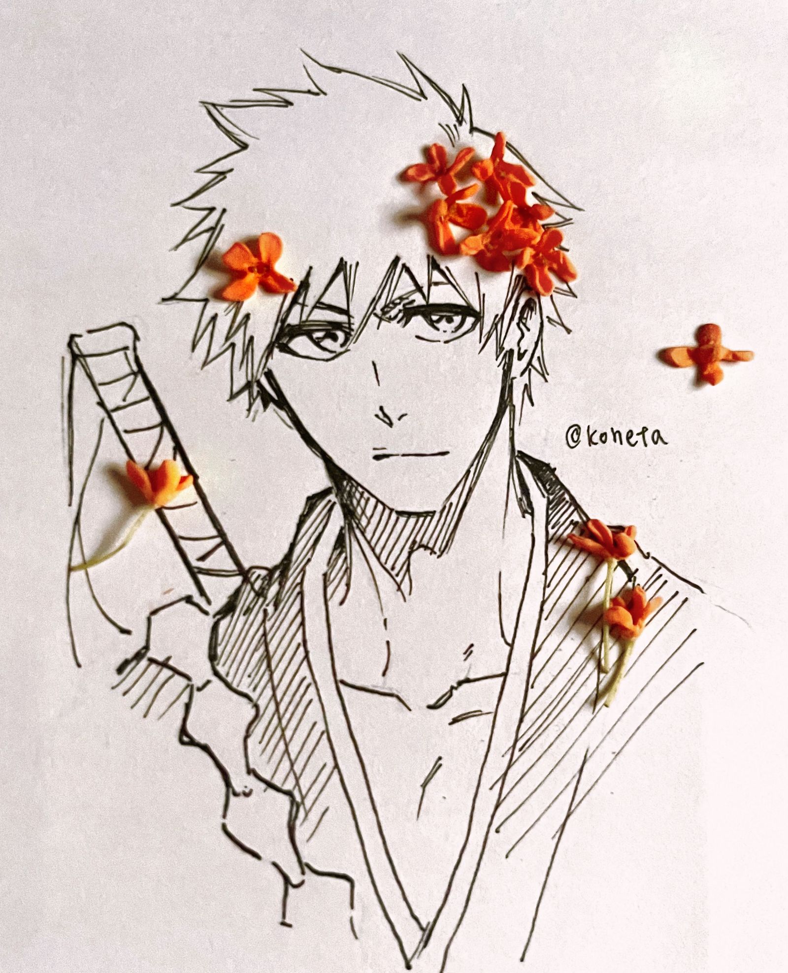 鰤log③插画图片壁纸