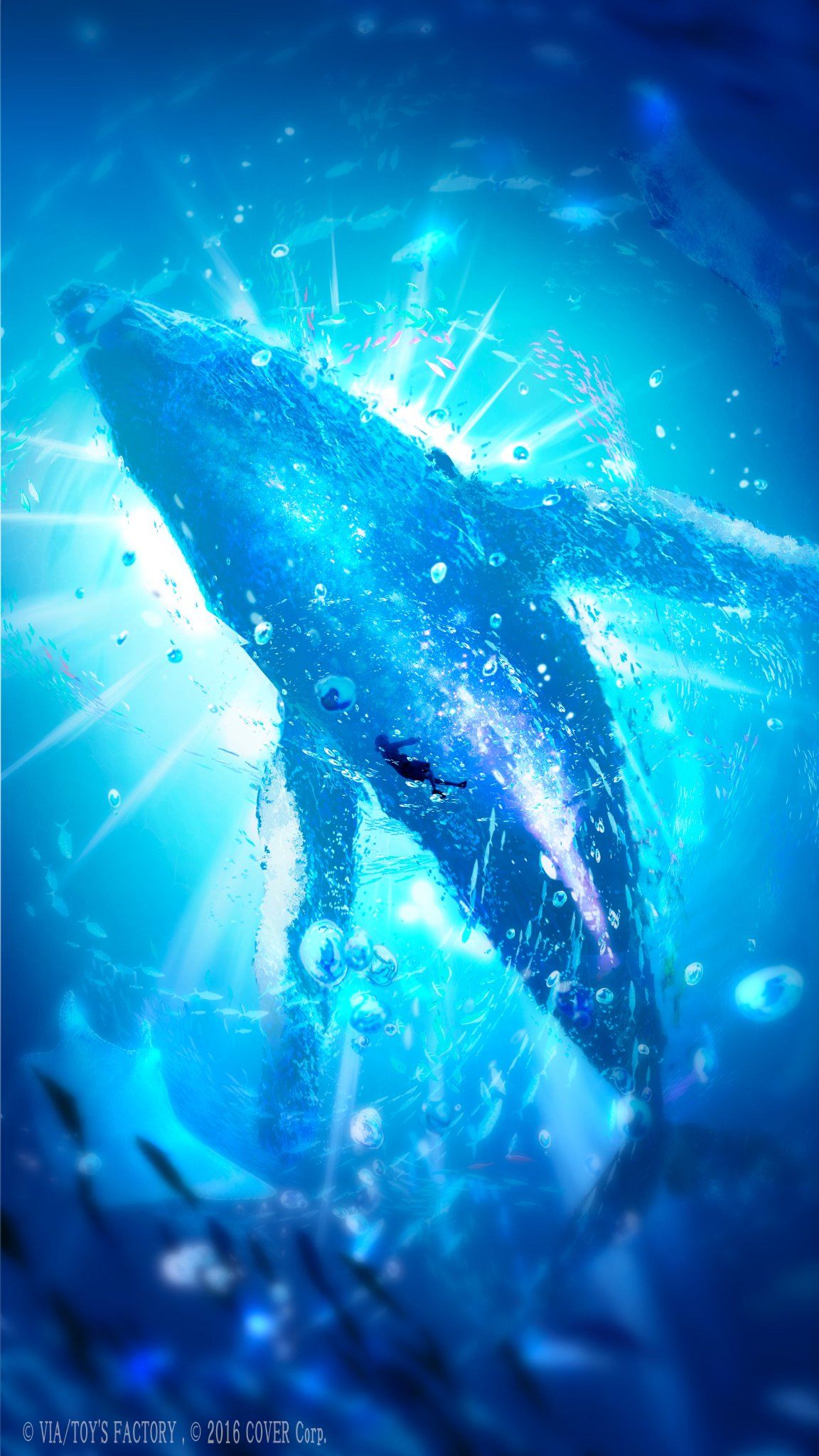 ソリロキー插画图片壁纸